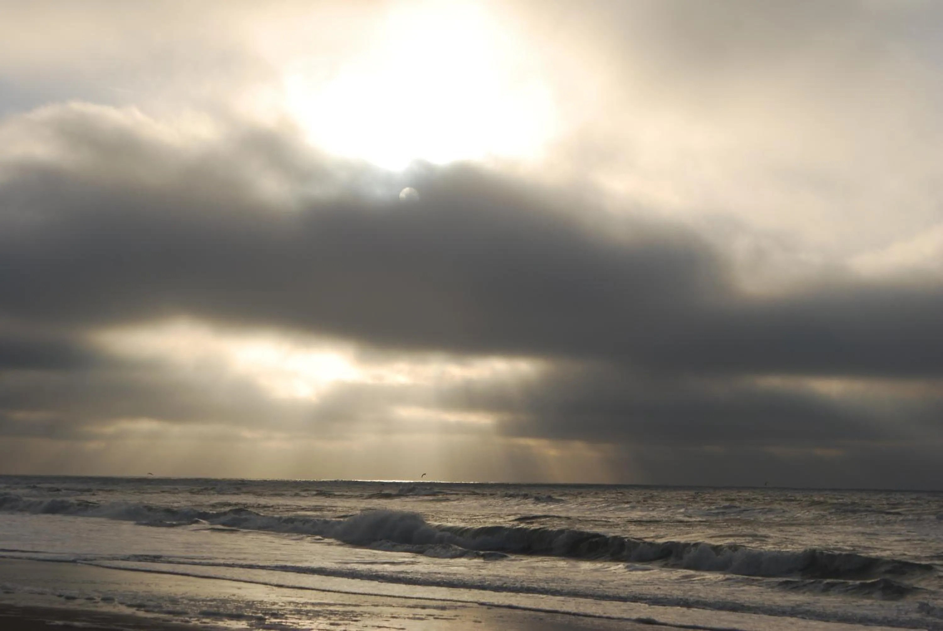 Beach in B&B Idylle aan Zee incl 2 Wellnessstudios