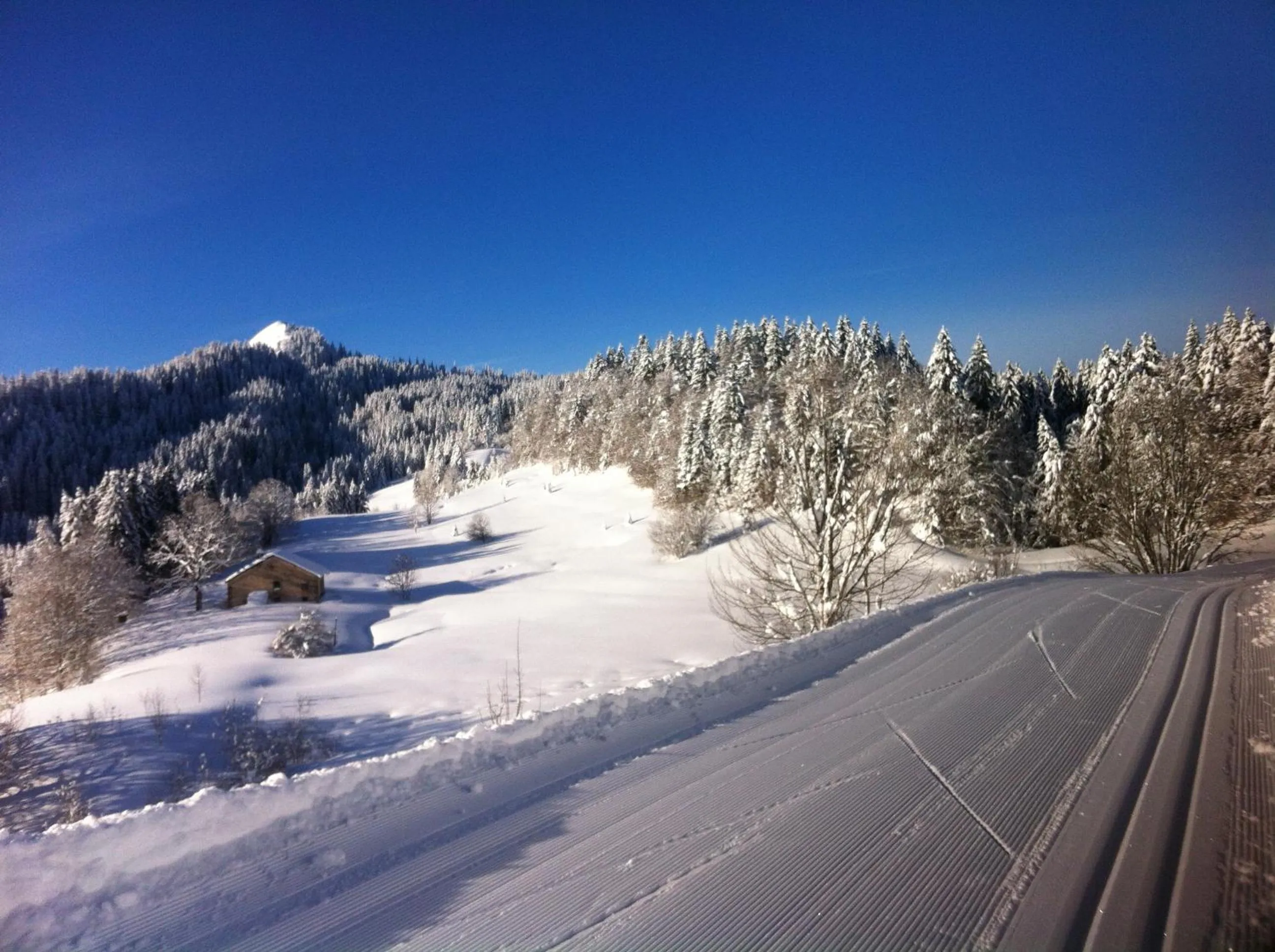 Skiing in Le Relais Nordique
