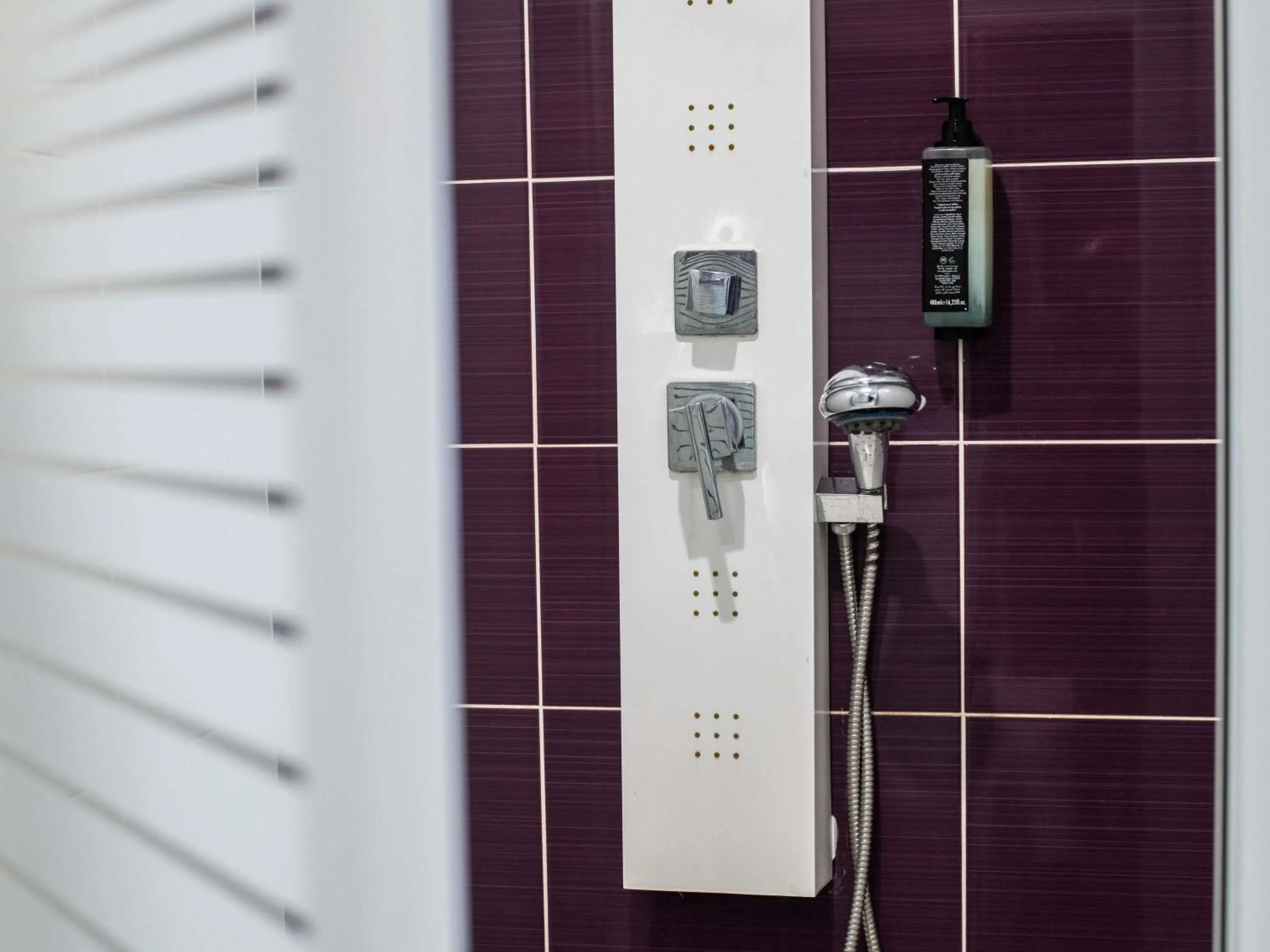 Photo of the whole room in Ibis Styles Cayenne Centre Amazonia