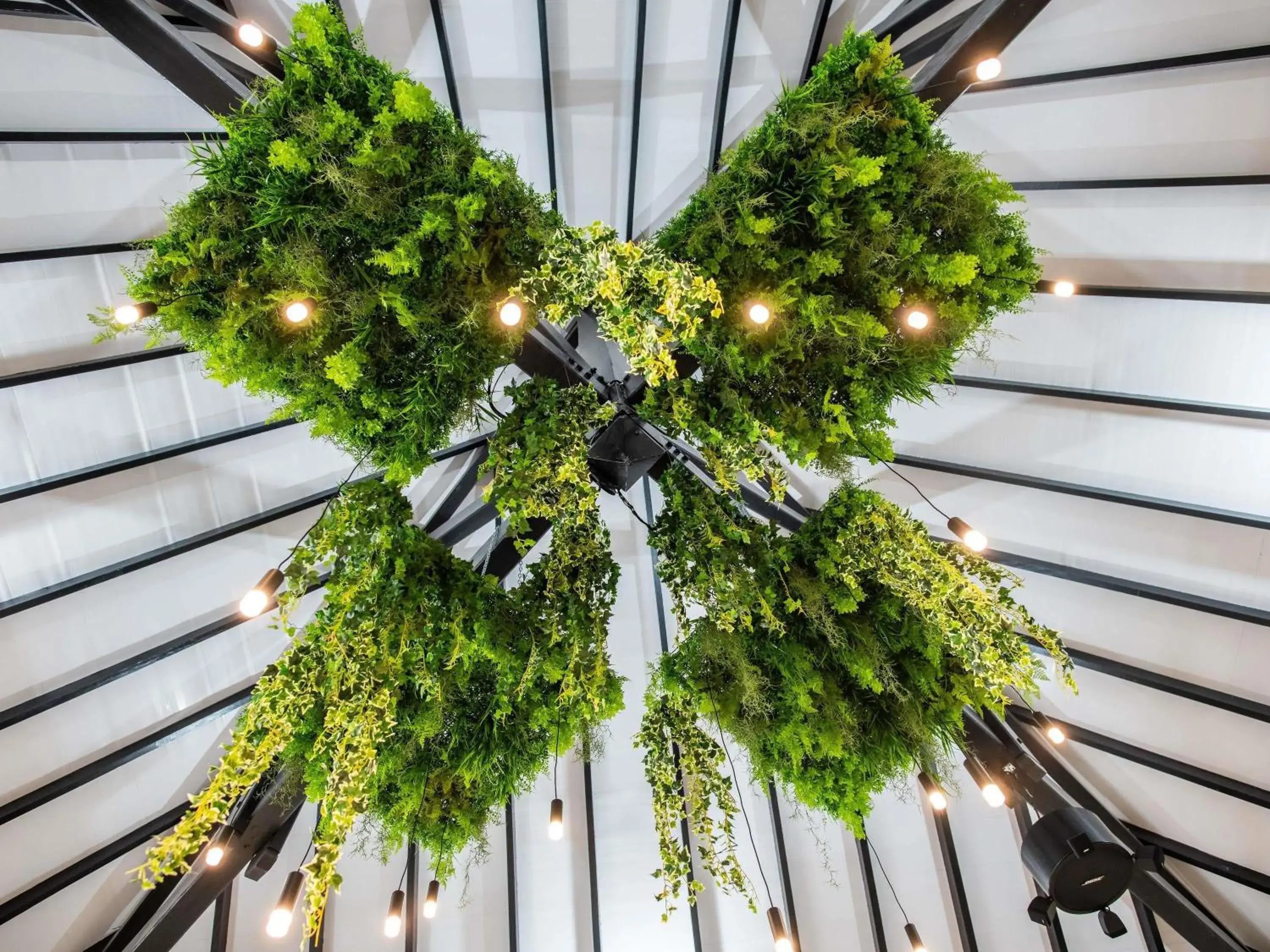 Restaurant/places to eat in Ibis Styles Cayenne Centre Amazonia Restaurant/places to eat in Ibis Styles Cayenne Centre Amazonia