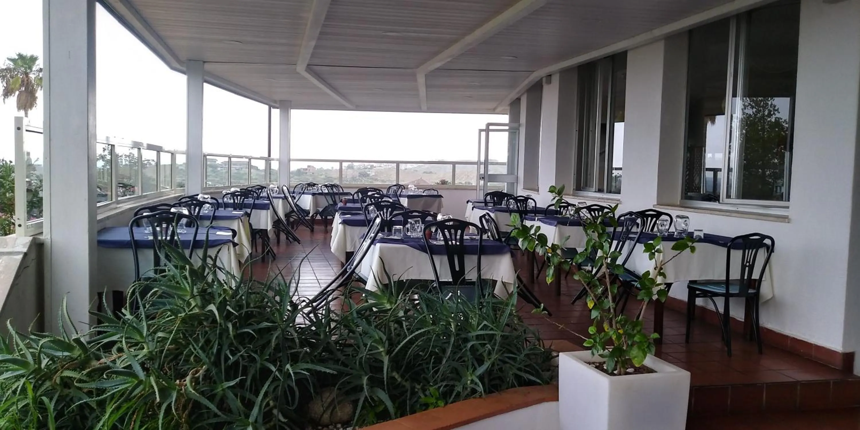 Restaurant/places to eat in La Feluca