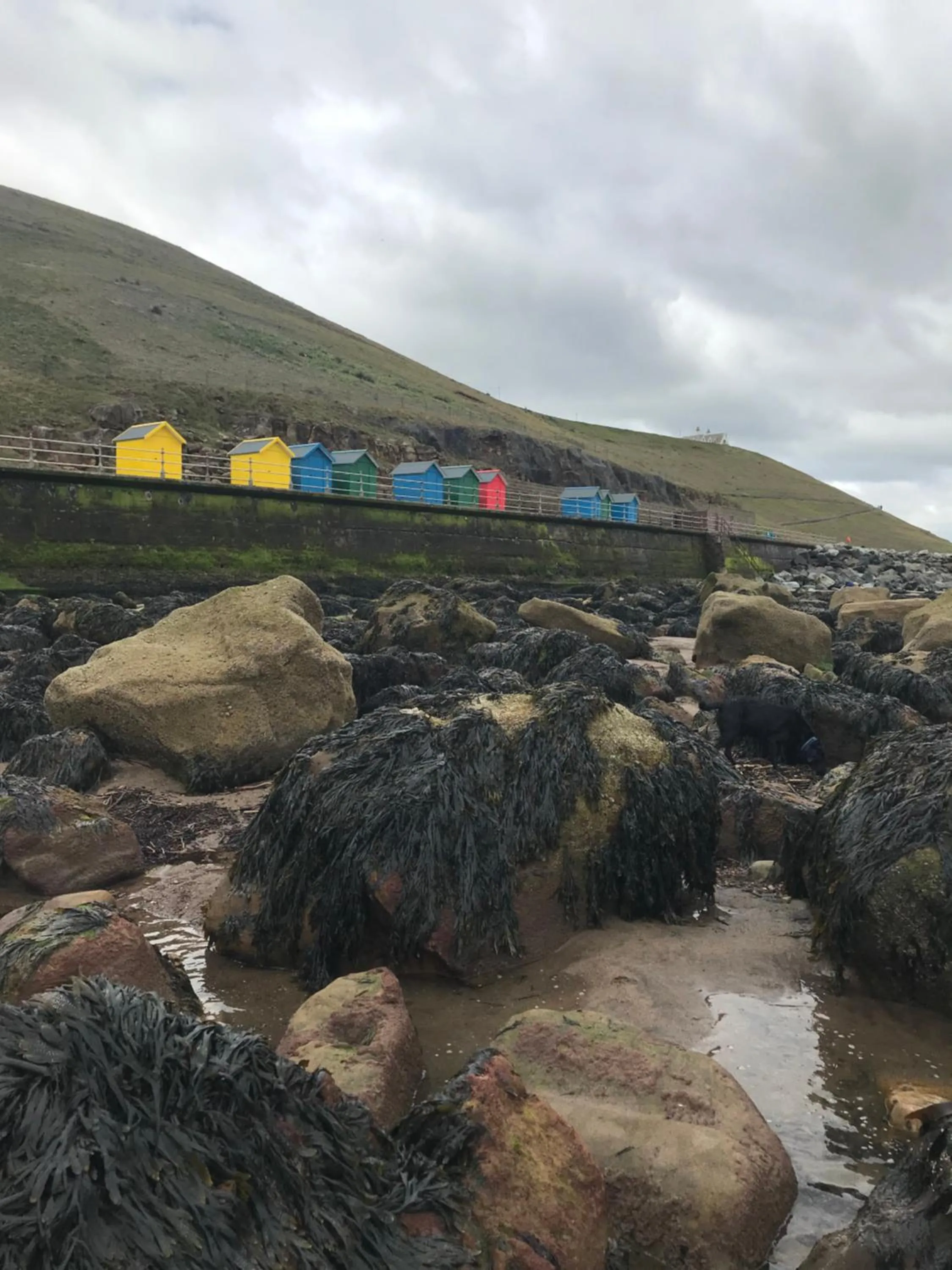 Beach in Mooredge - Room only
