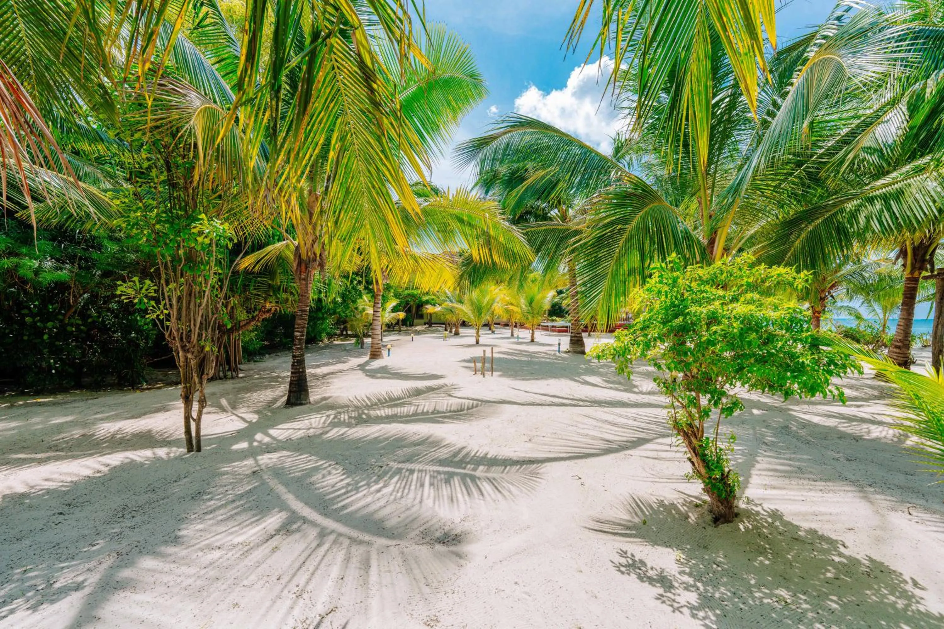 Sea view in Ifa Beach Resort