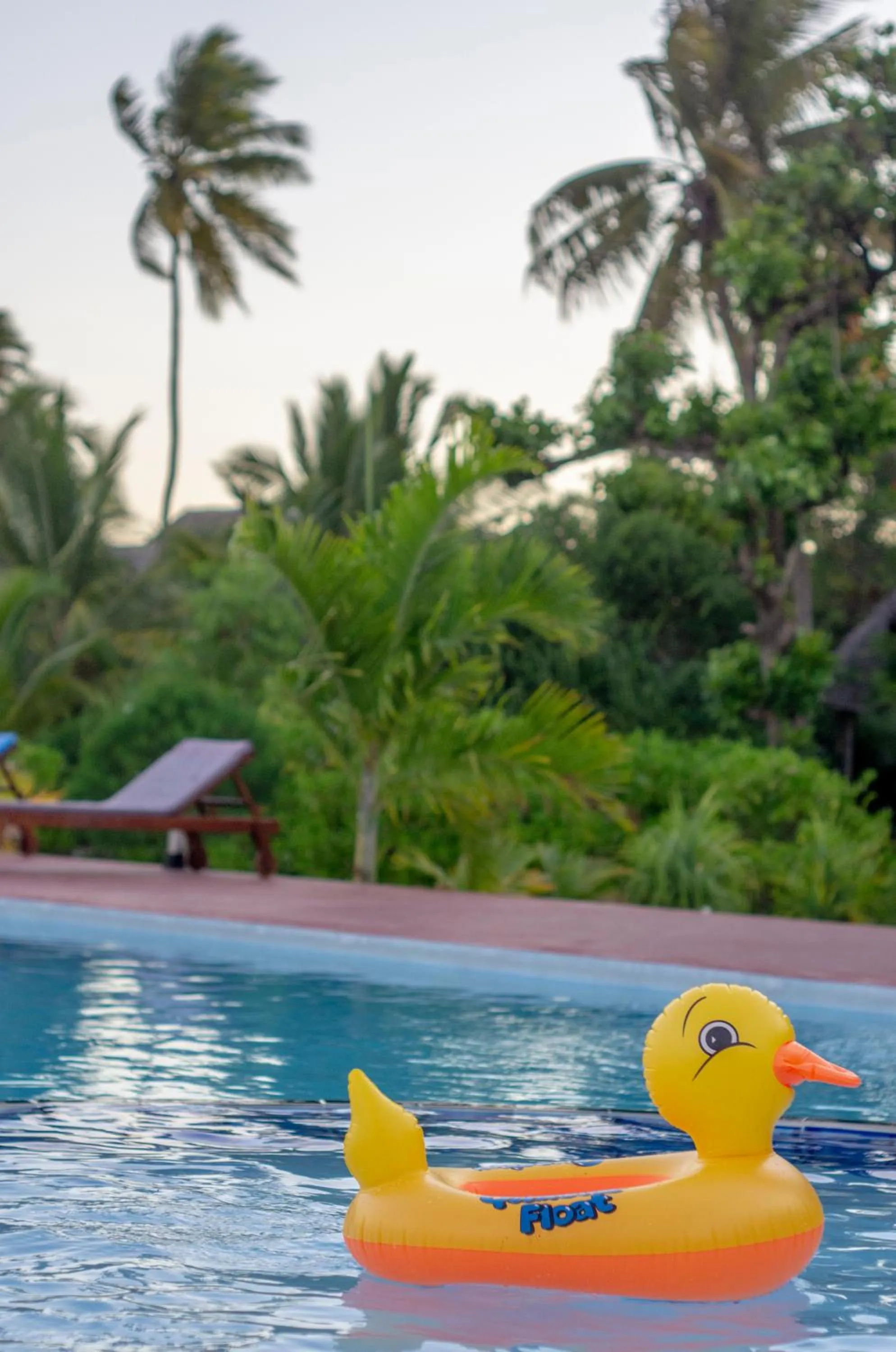 Pool view in Ifa Beach Resort