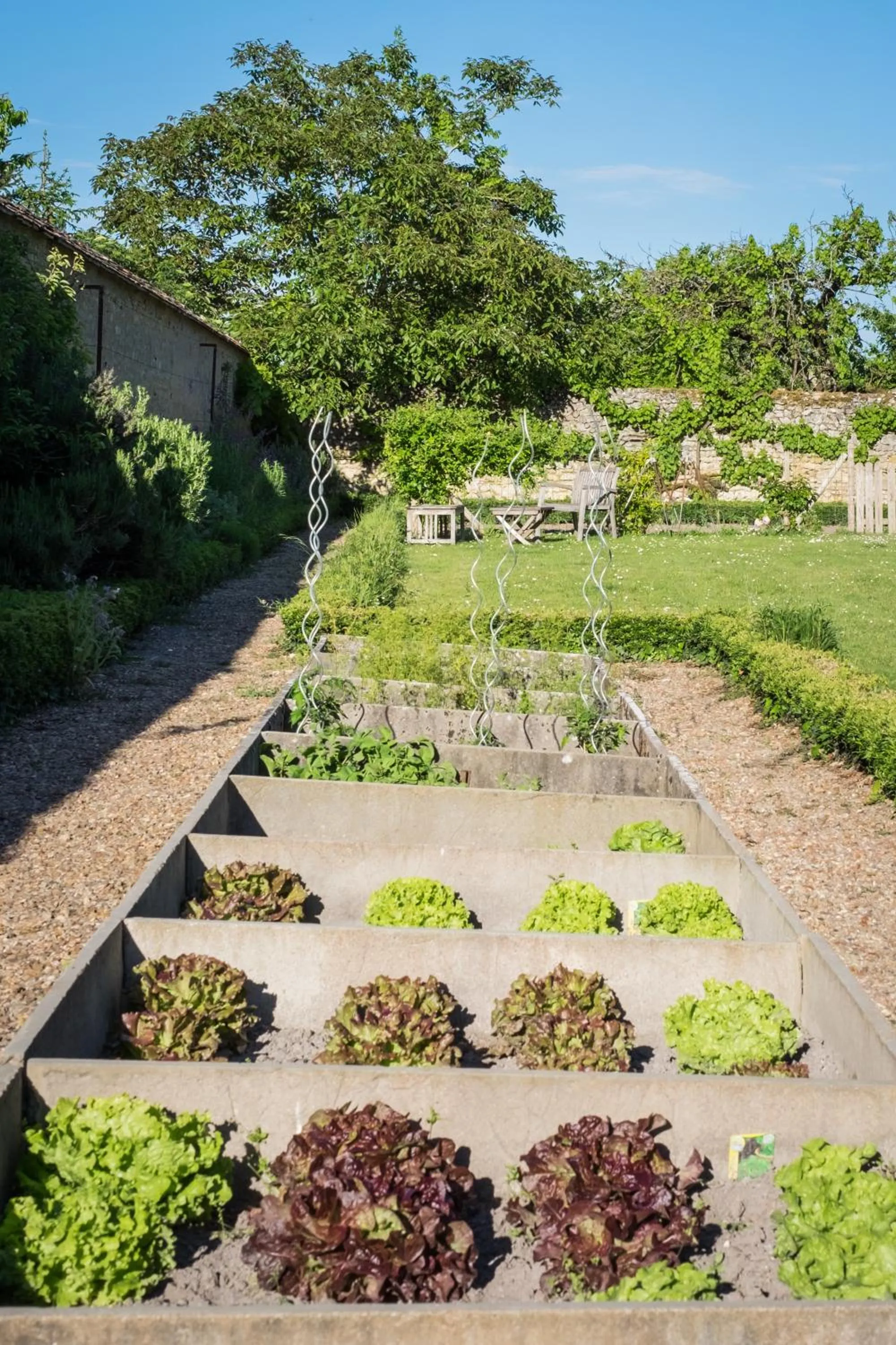Garden in Auberge du Bon Laboureur Chenonceaux