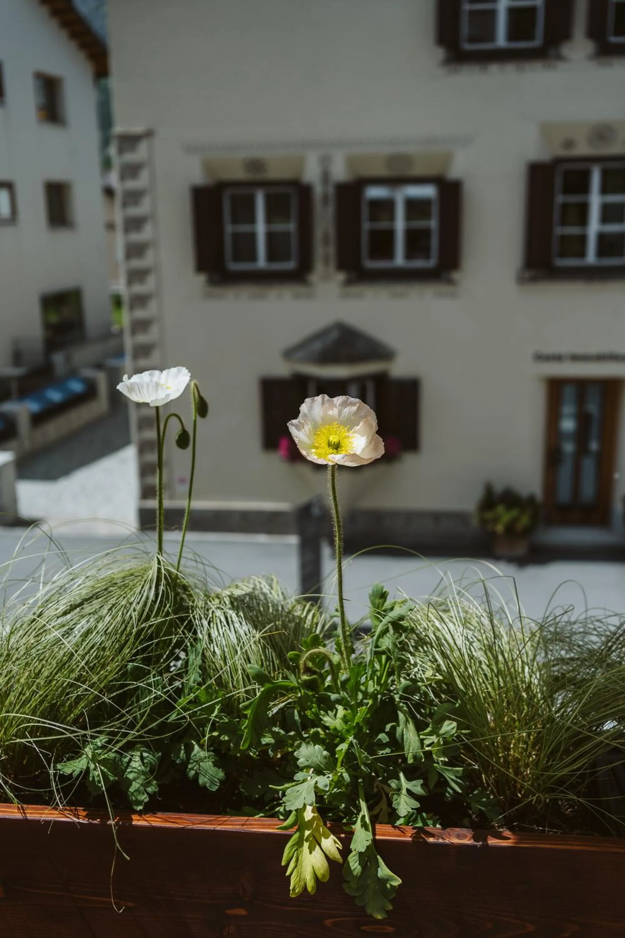 Balcony/Terrace in Boutique Hotel Engadinerhof - A Home for Generations