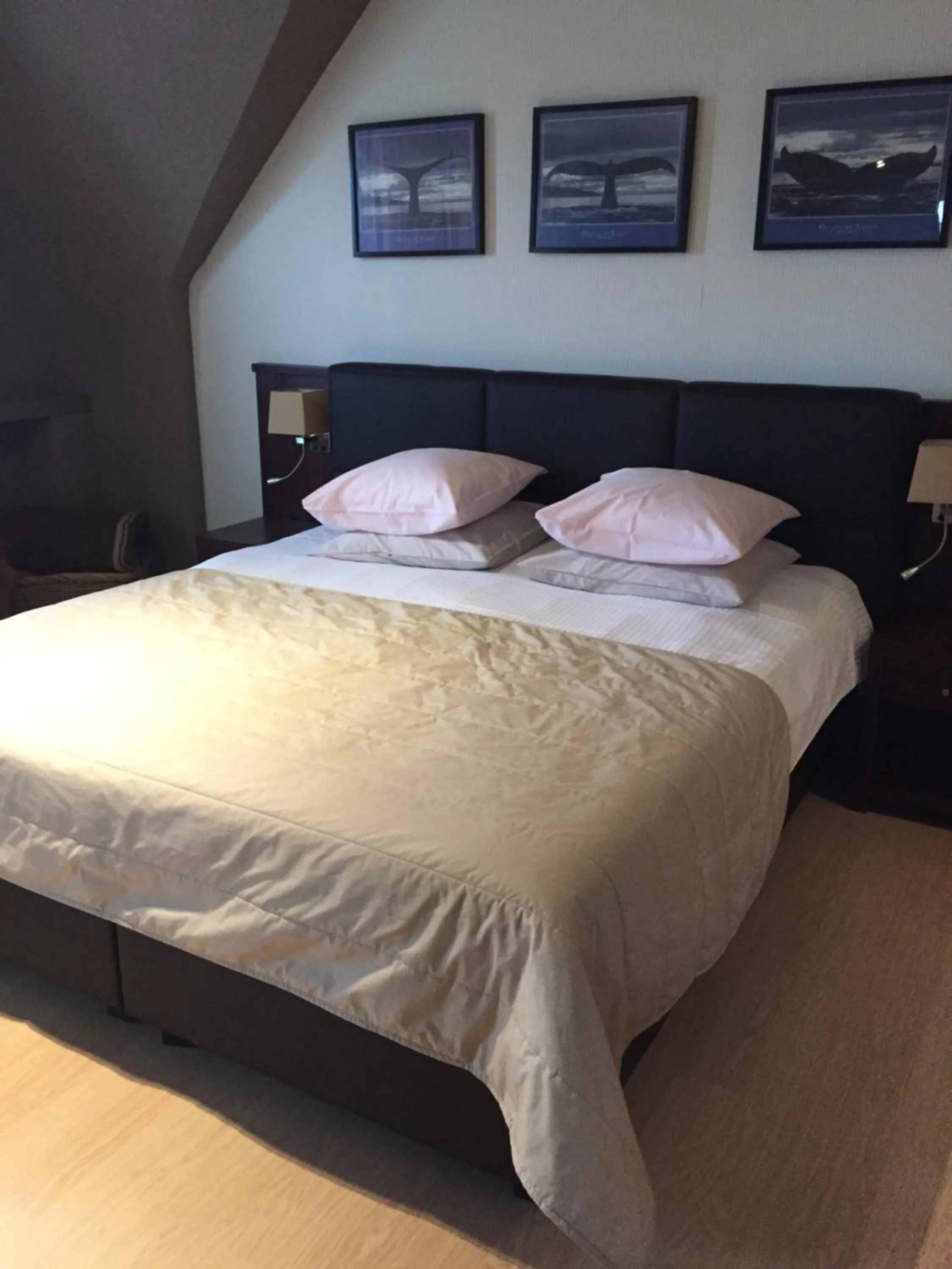 Bed in Hotel Prélude