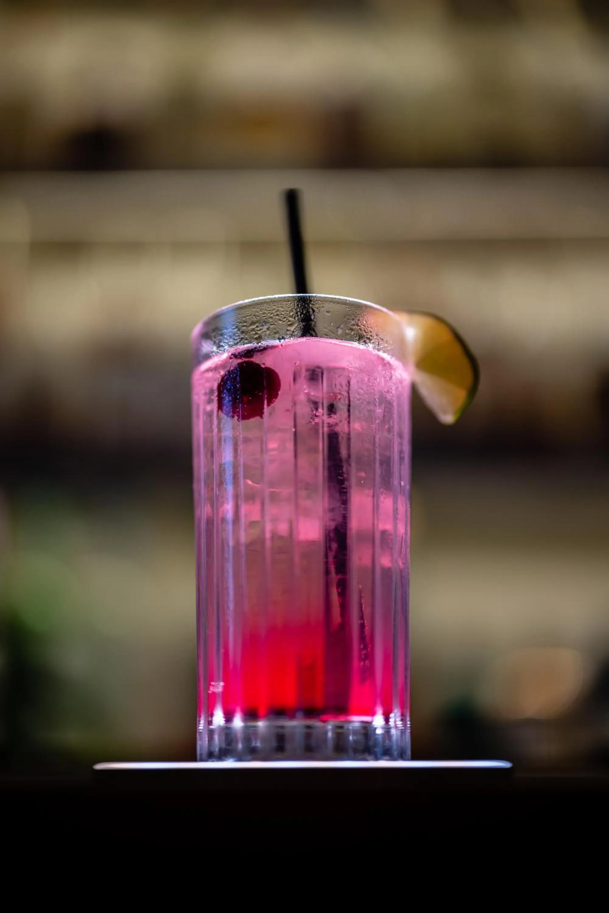 Lounge or bar in Domaine de la Tortinière