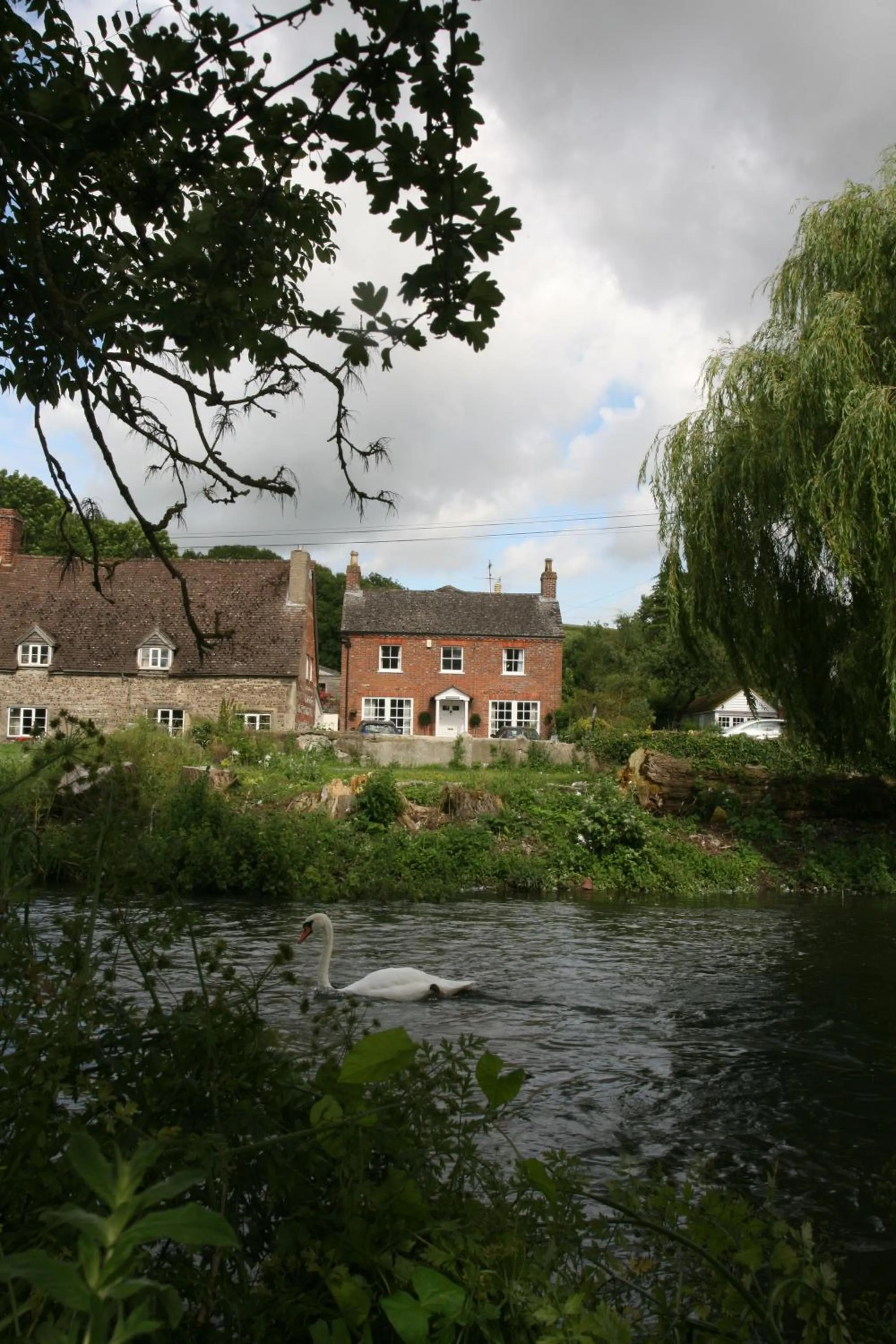 Garden view in Grayling House