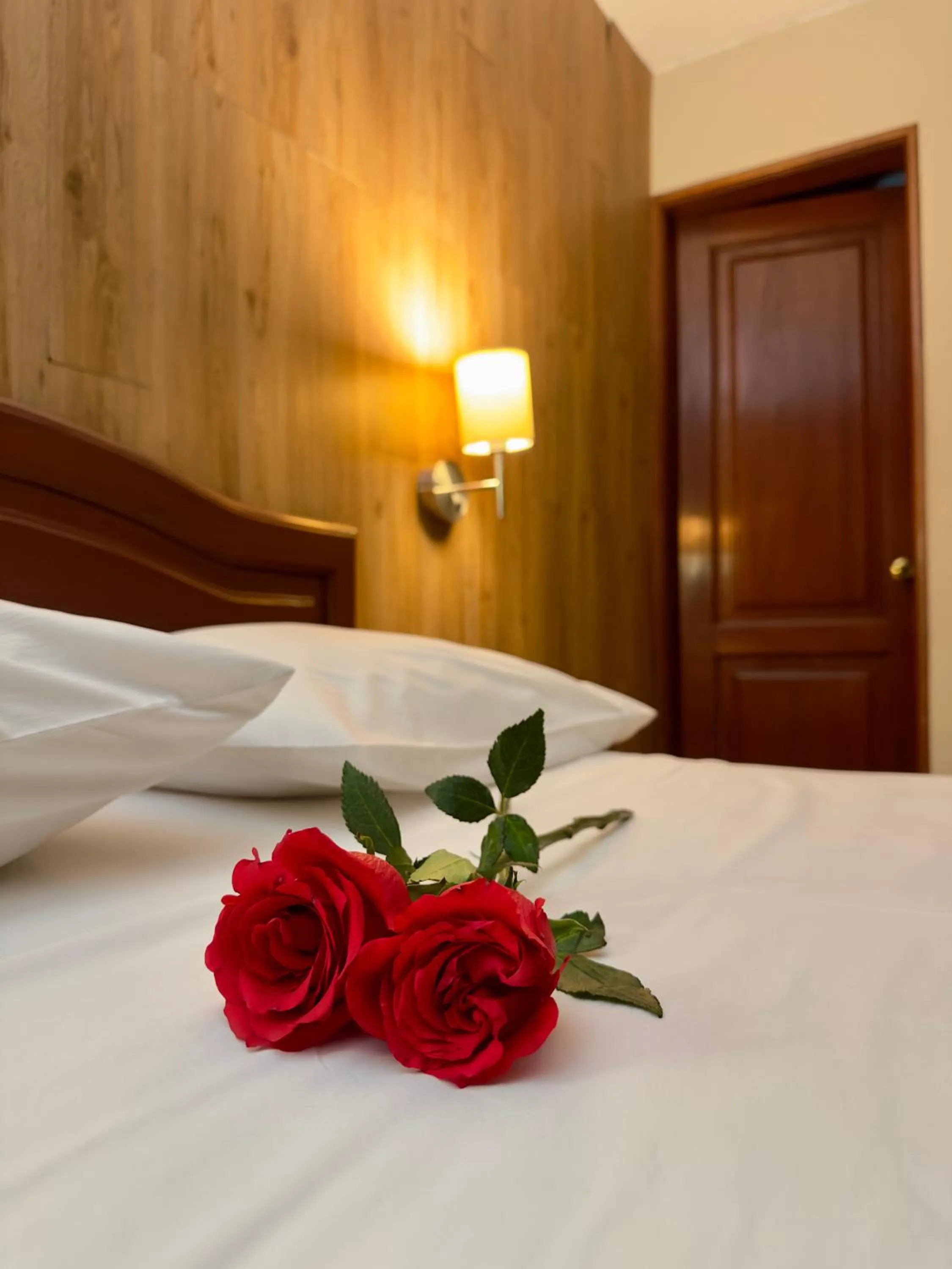 Bedroom, Bed in Hotel Asturias Inn