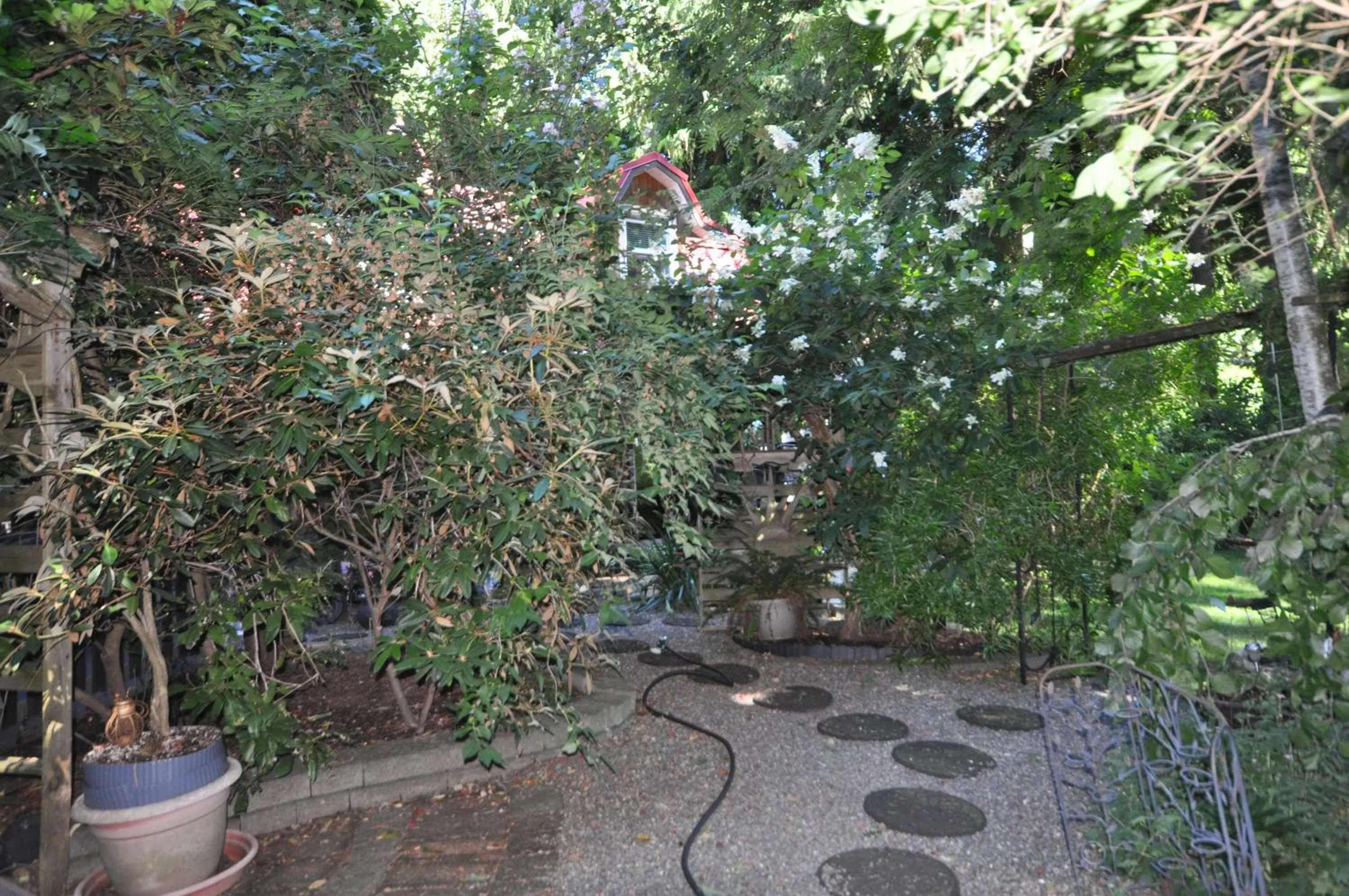 Garden in Garden House