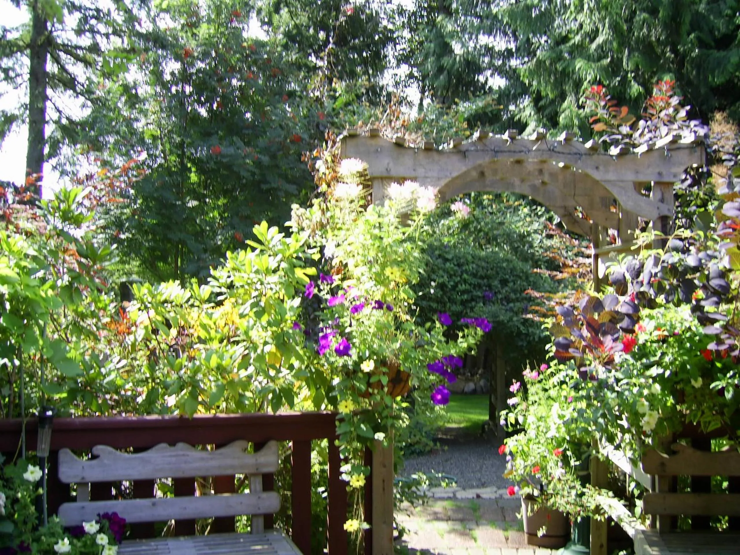 Garden in Garden House