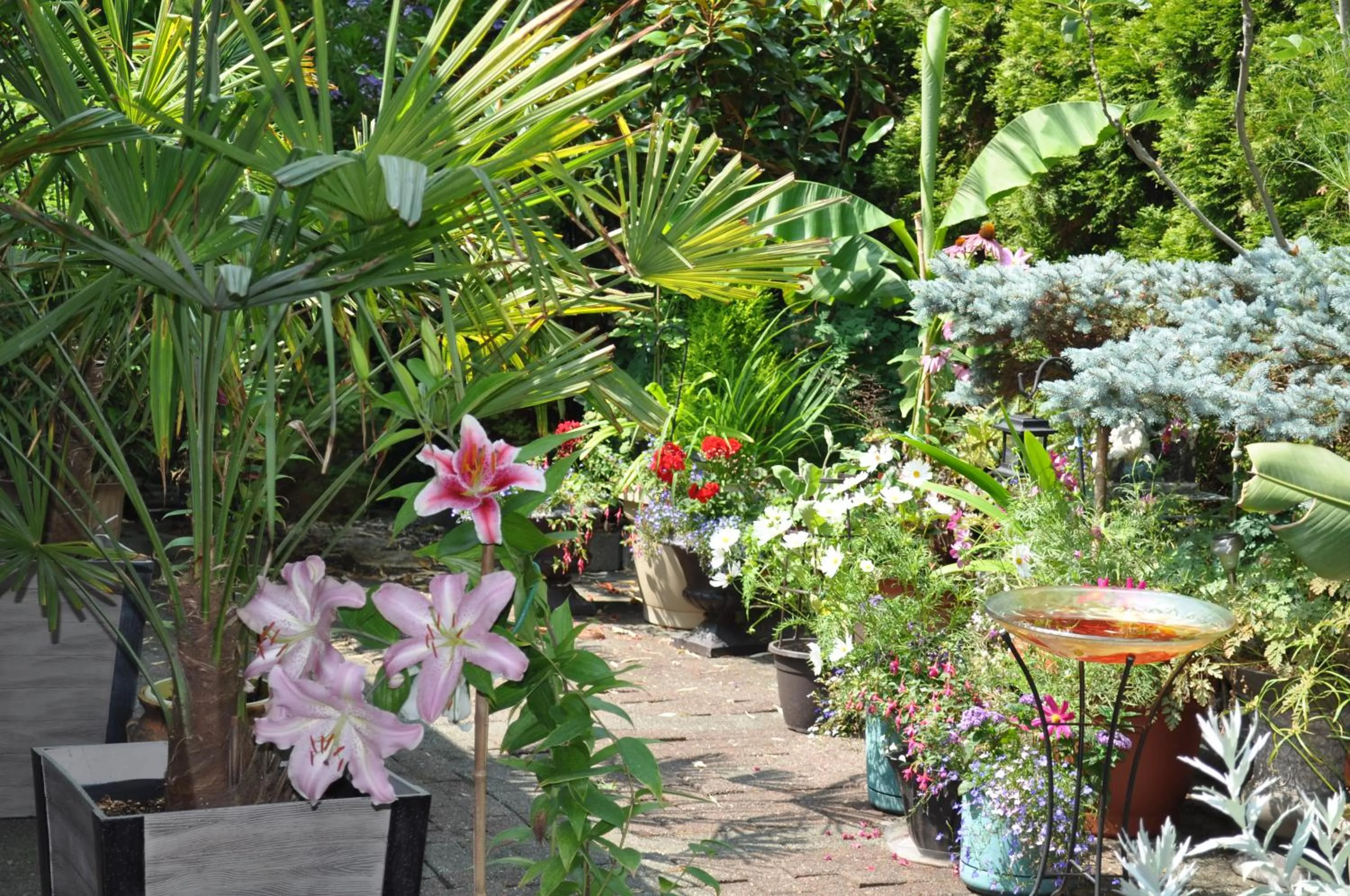 Garden in Garden House