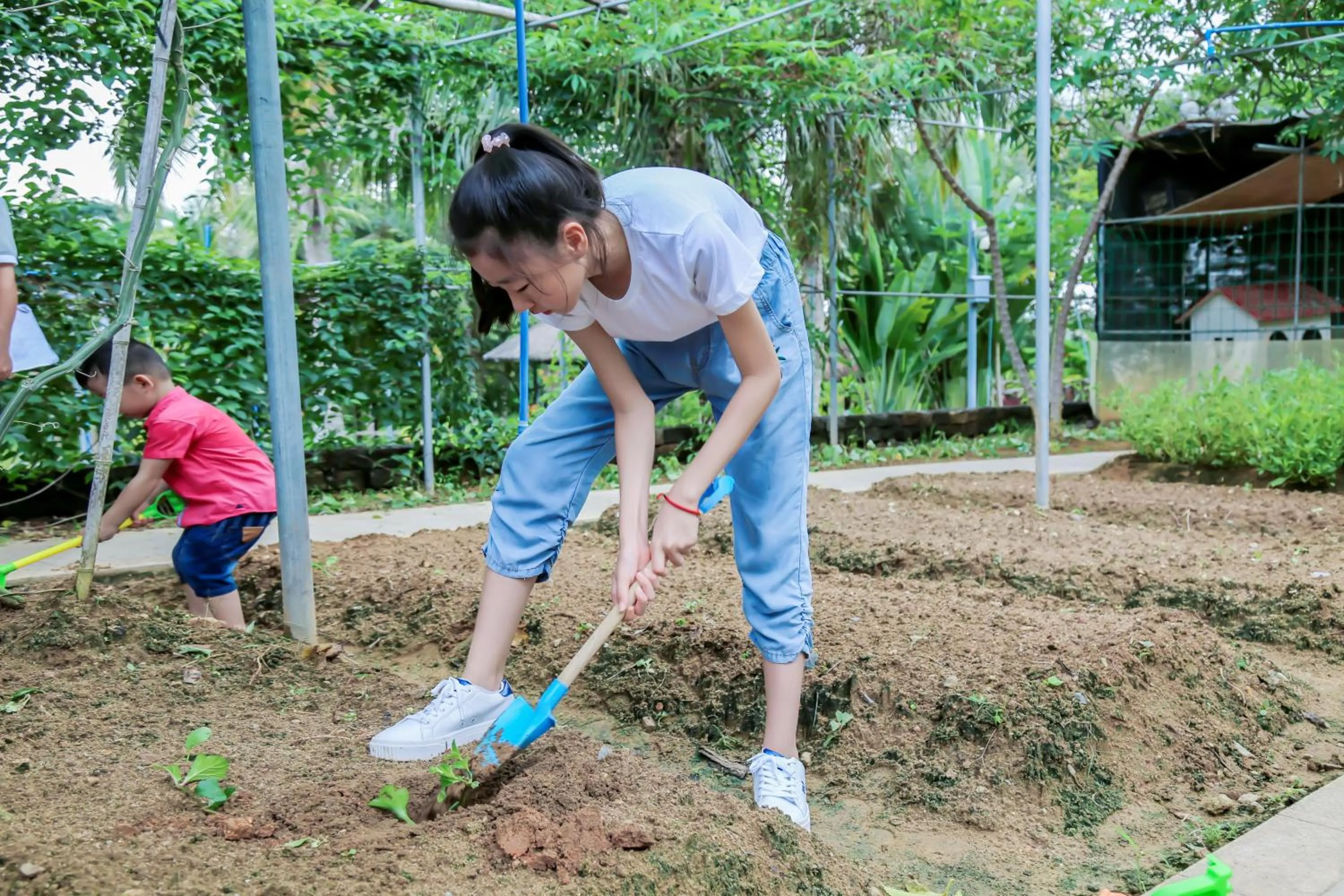 Children play ground in The Mangrovetree Sanya Resort
