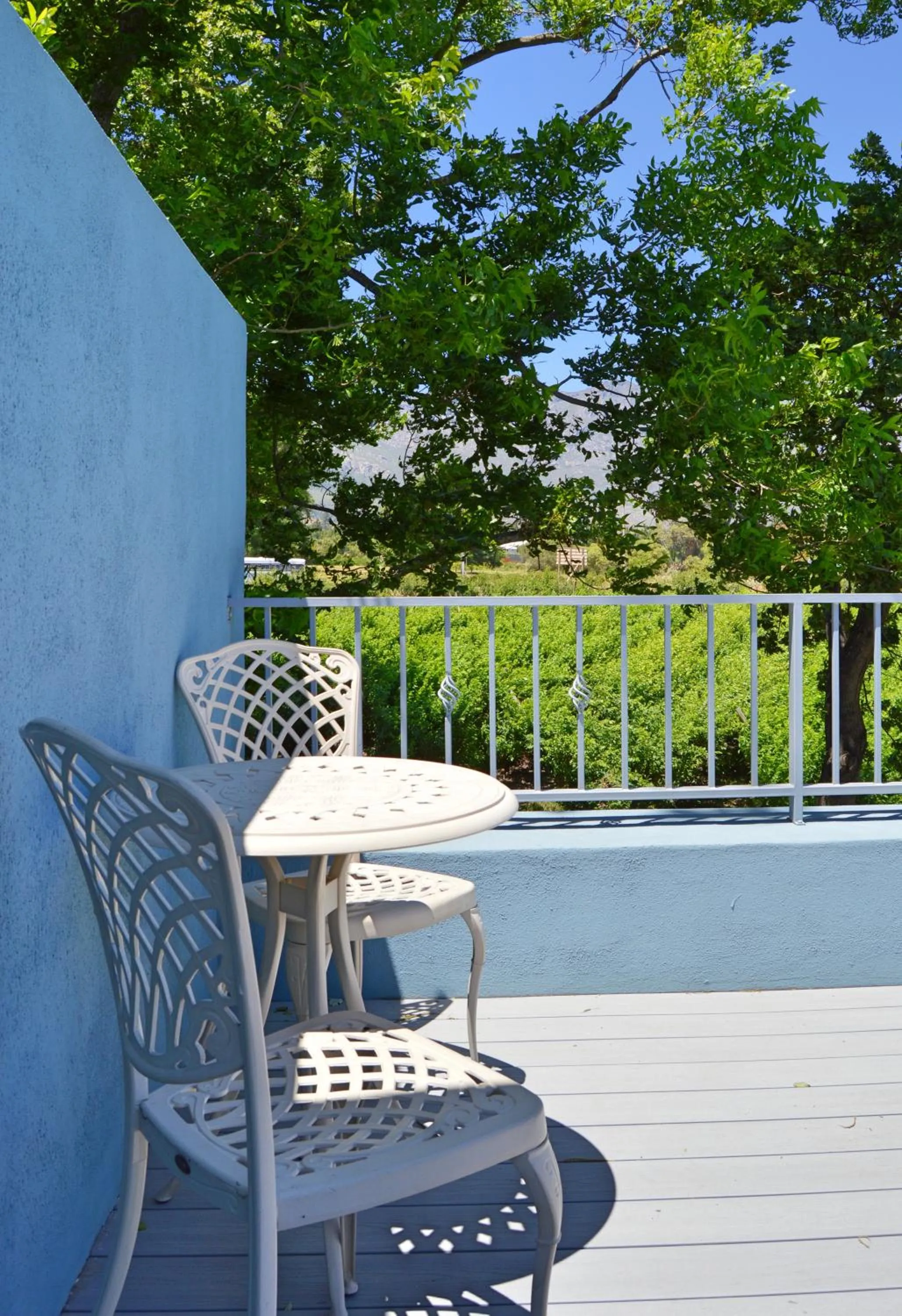 Balcony/Terrace in 1AA Wilhelmina Luxury Suites