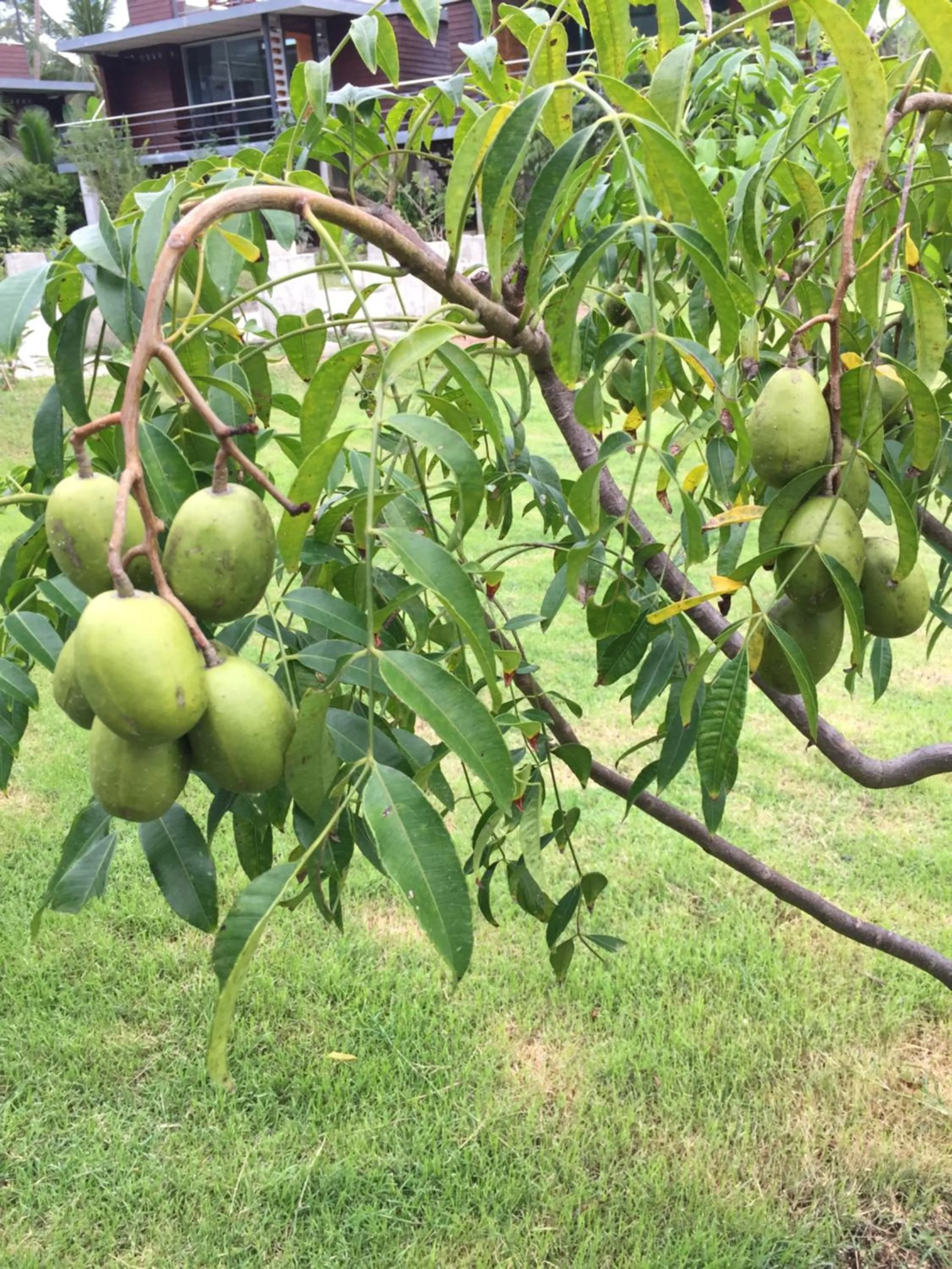 Baan Boom Boxes Eco Friendly Resort