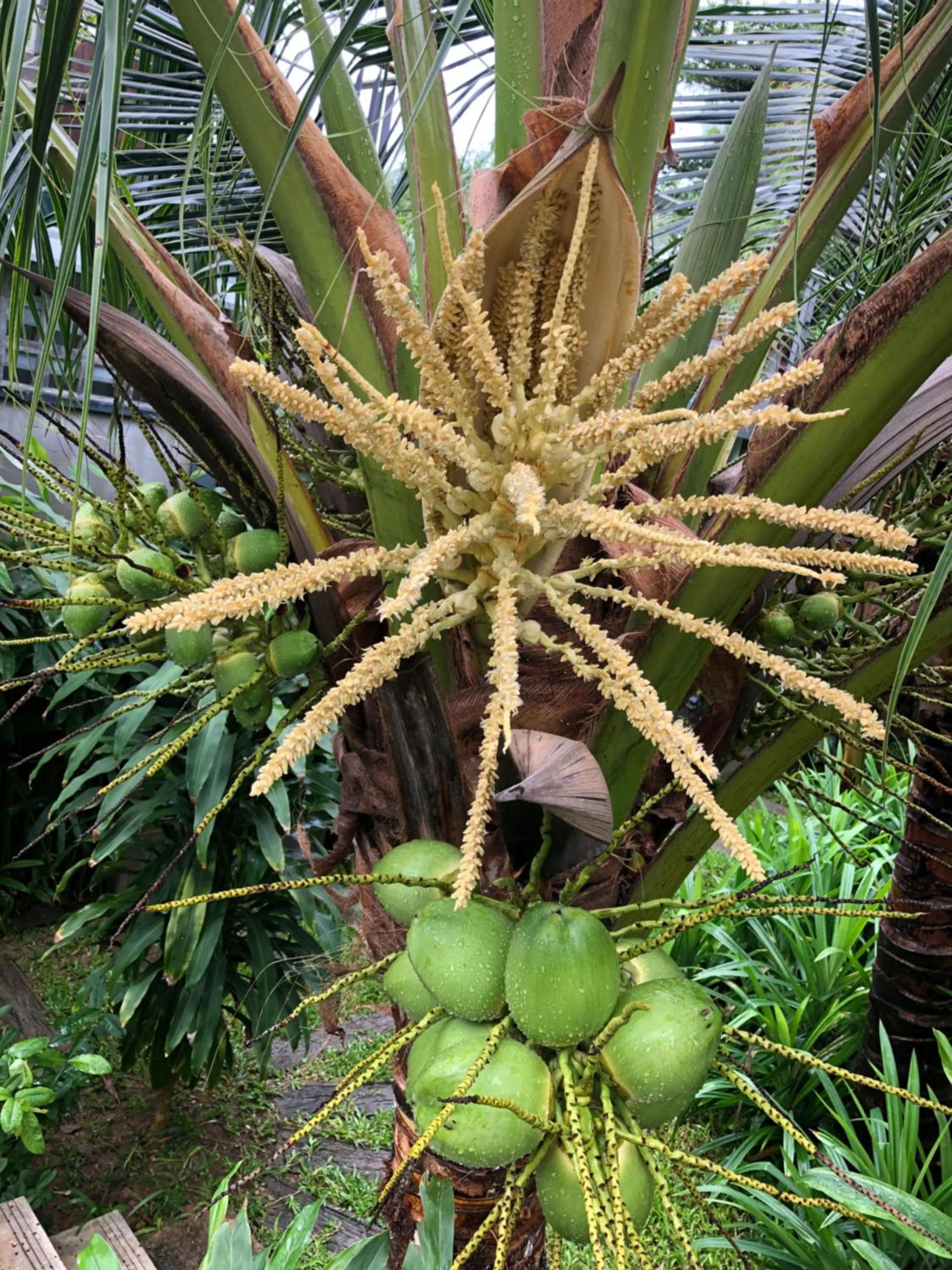 Baan Boom Boxes Eco Friendly Resort