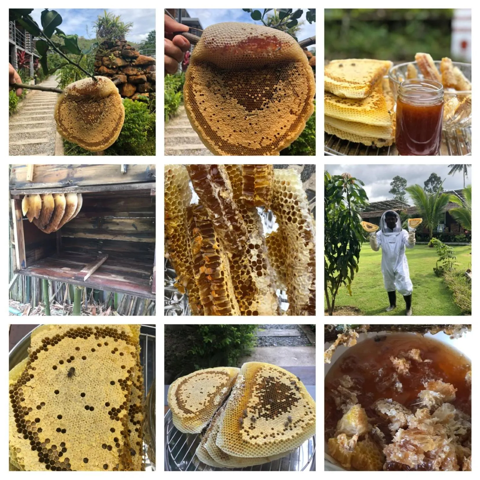 Baan Boom Boxes Eco Friendly Resort