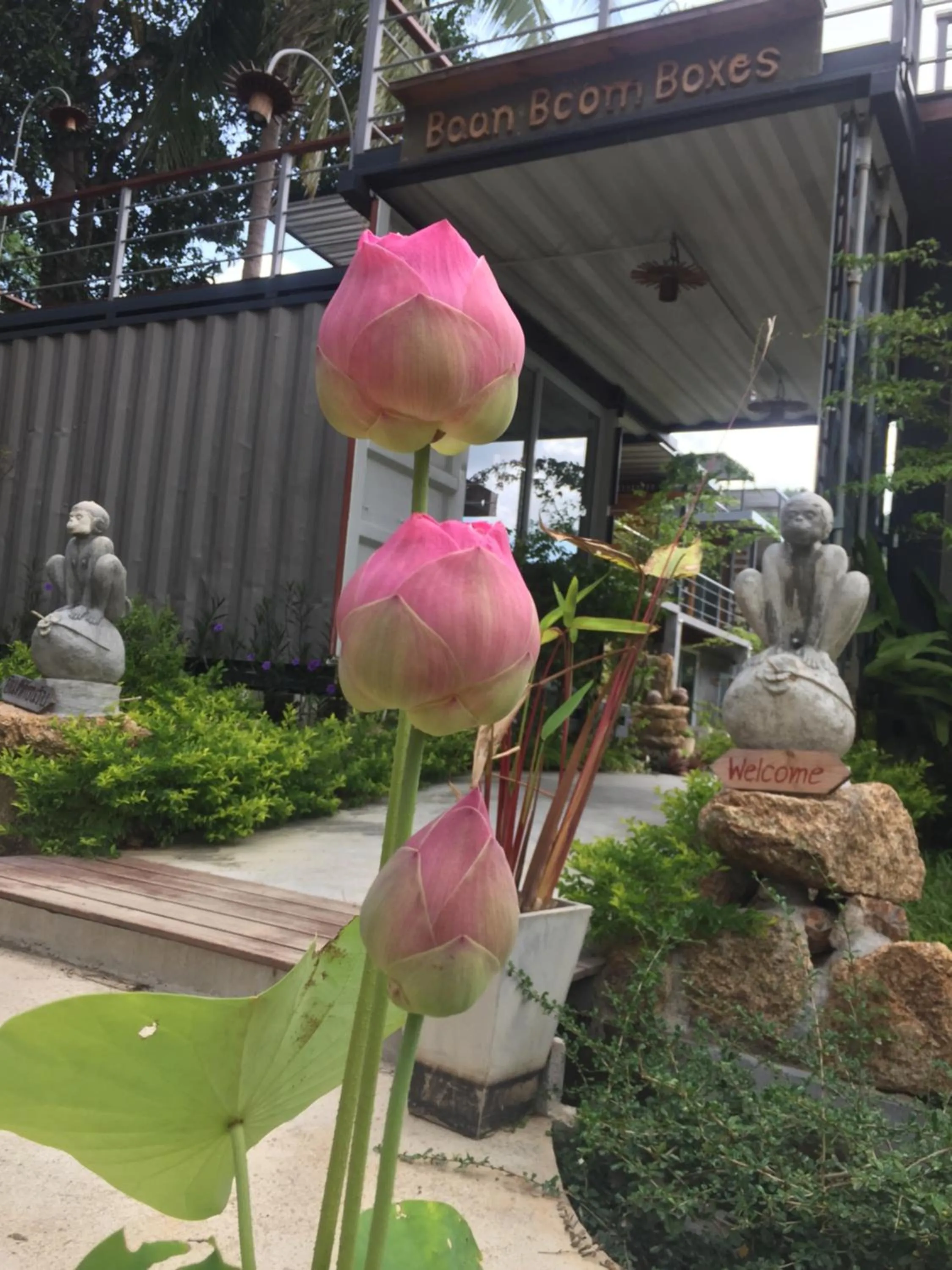 Baan Boom Boxes Eco Friendly Resort