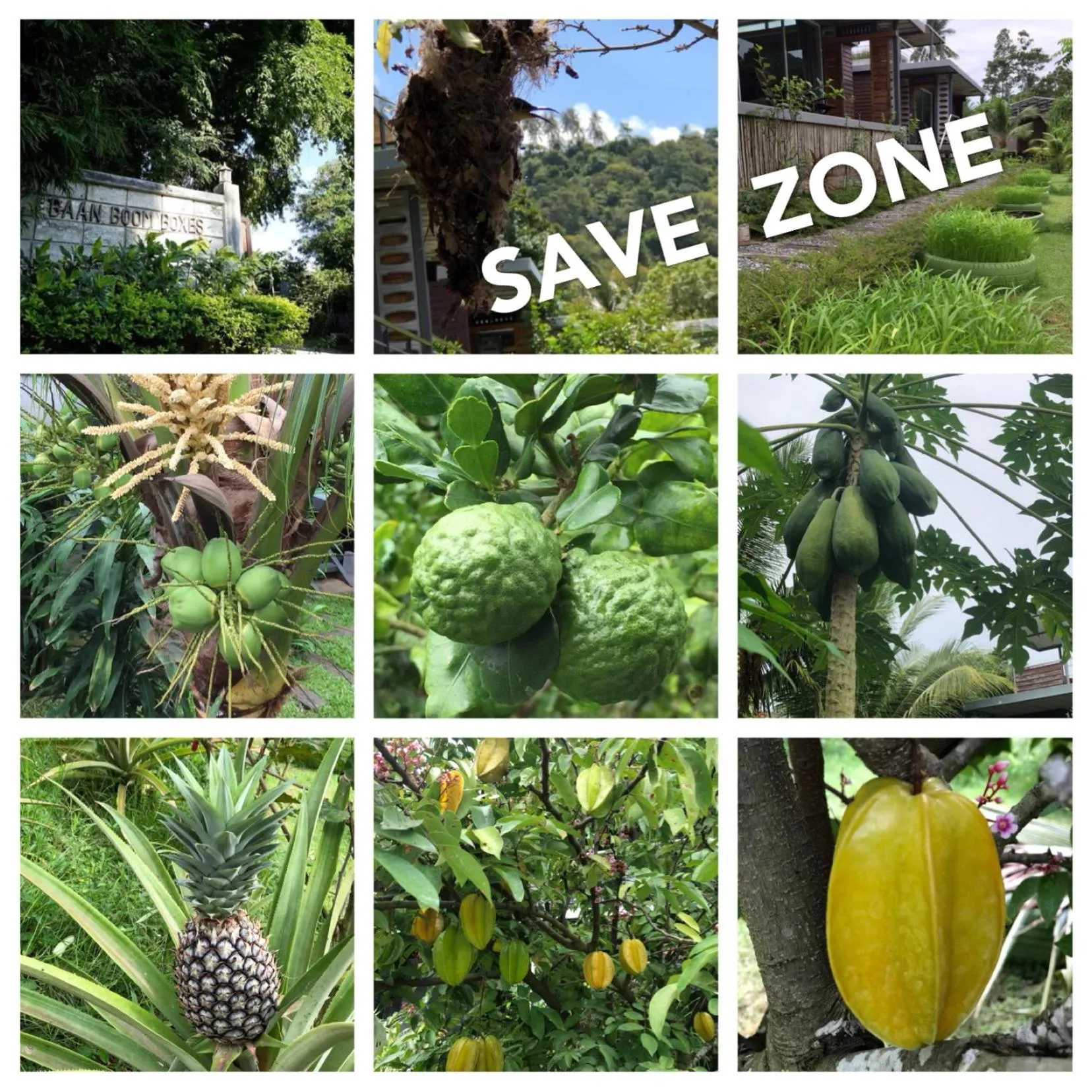 Baan Boom Boxes Eco Friendly Resort