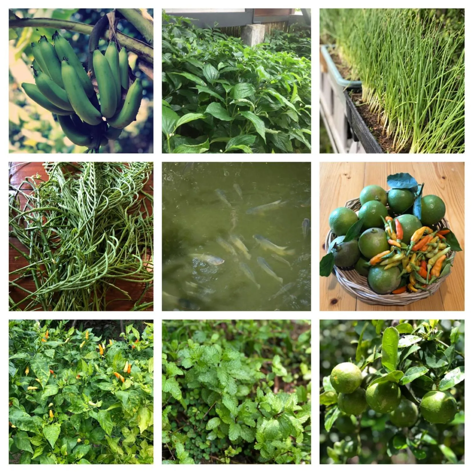 Baan Boom Boxes Eco Friendly Resort