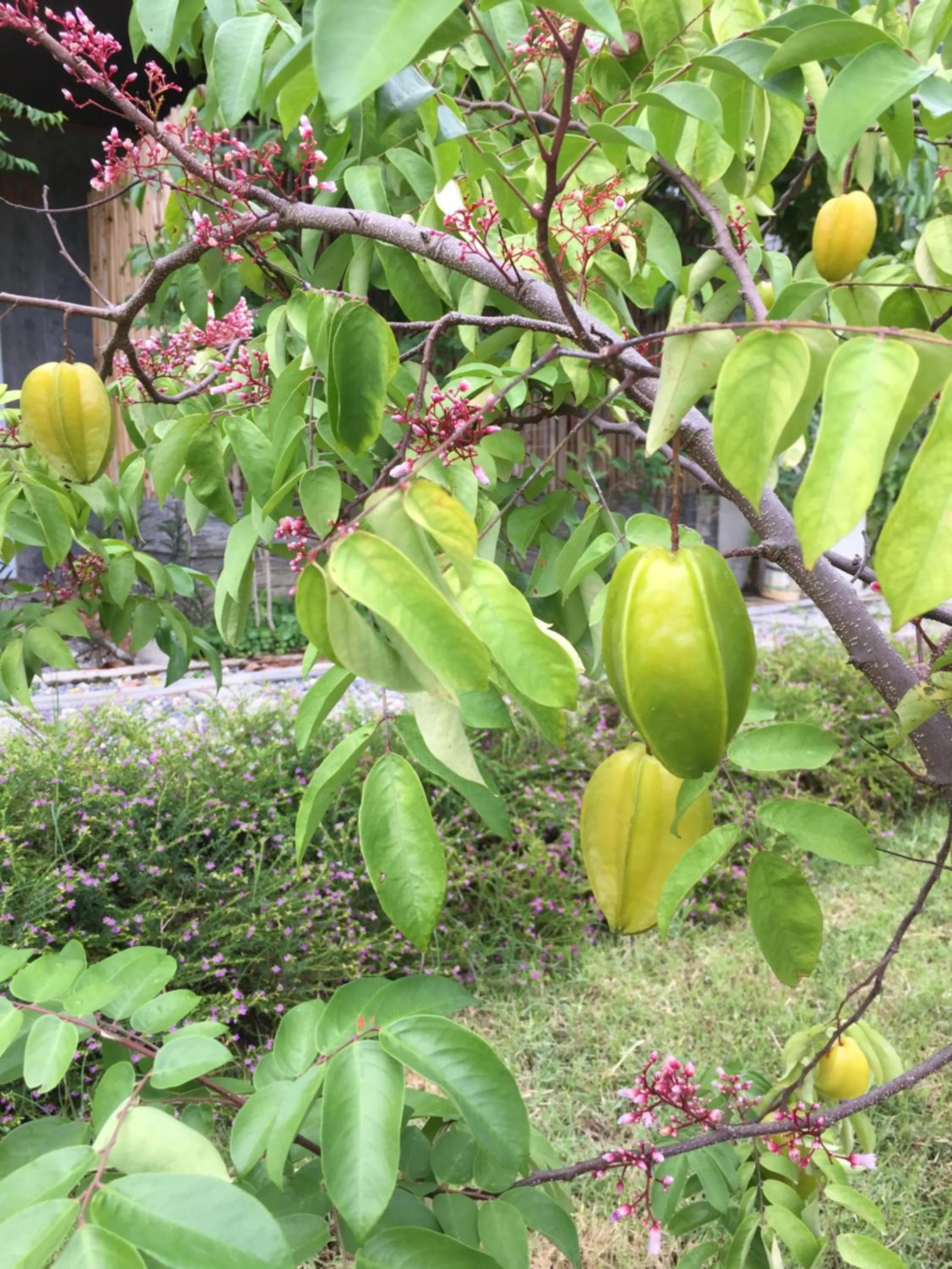 Baan Boom Boxes Eco Friendly Resort