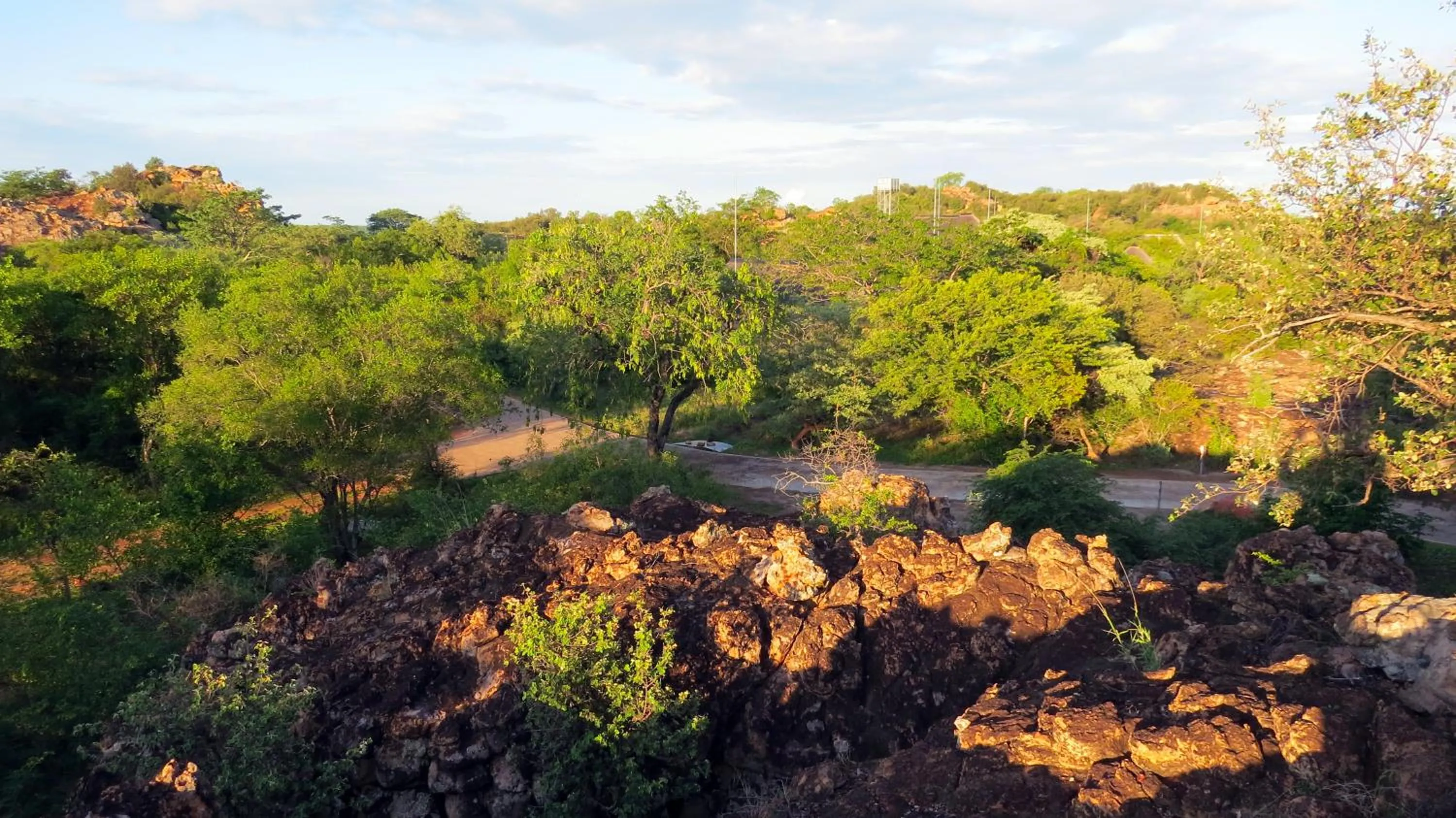 Natural landscape in Awelani Lodge