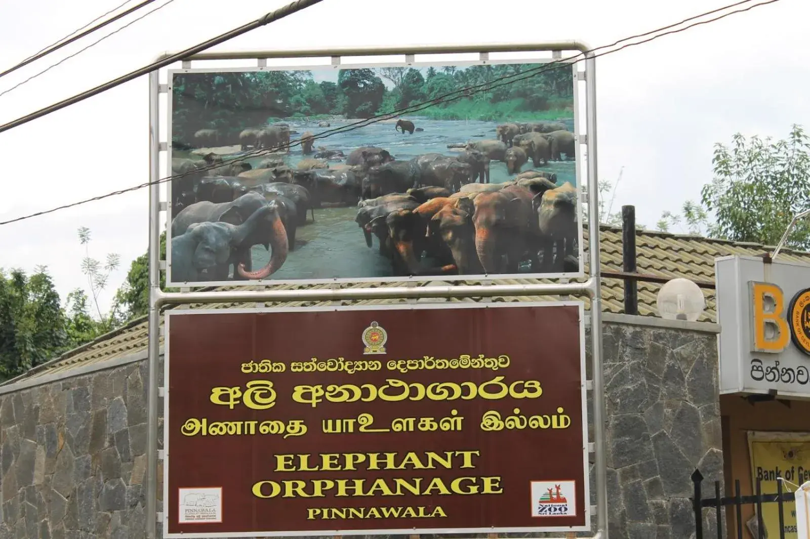 Property building in Cafe Pinnalanda Property building in Cafe Pinnalanda