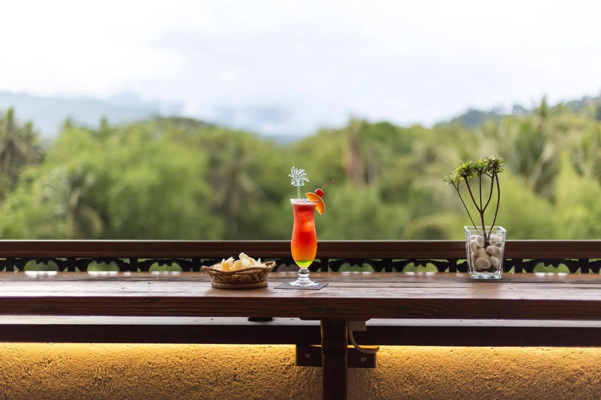 Alcoholic drinks in Plataran Heritage Borobudur Hotel