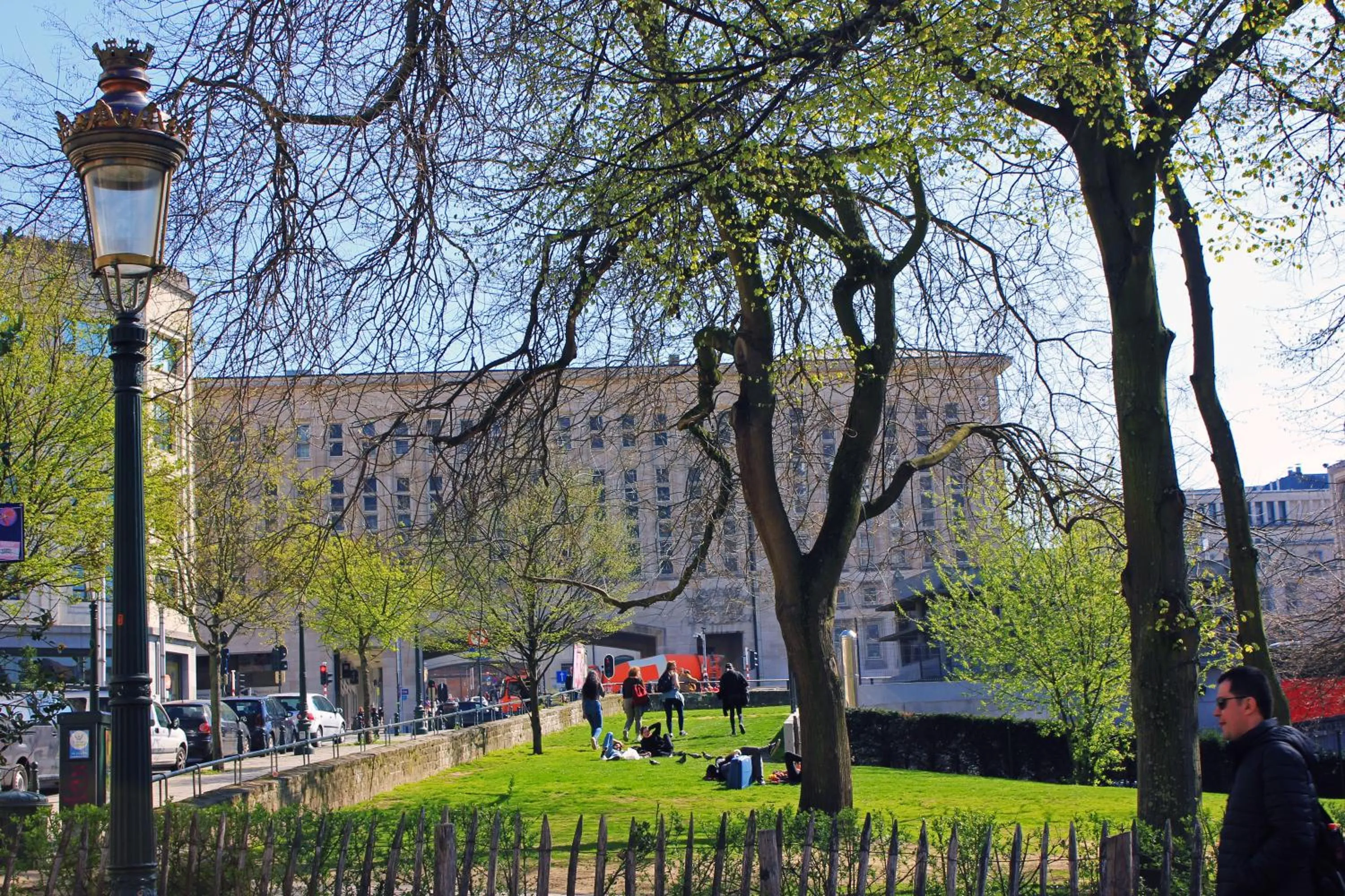 Natural landscape in ALMA Grand Place Hotel