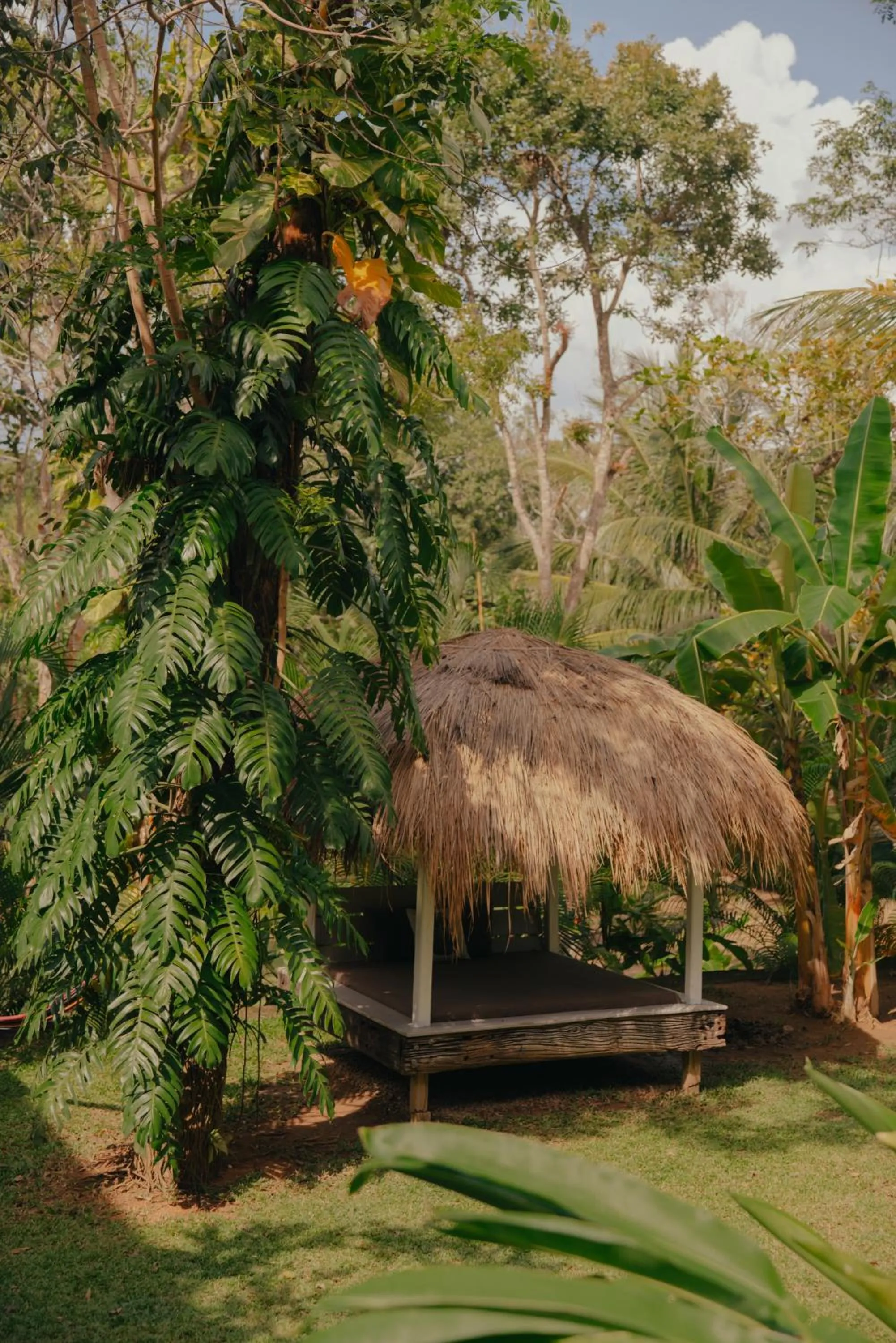 Garden in Kirinuga ECO Boutique Retreat