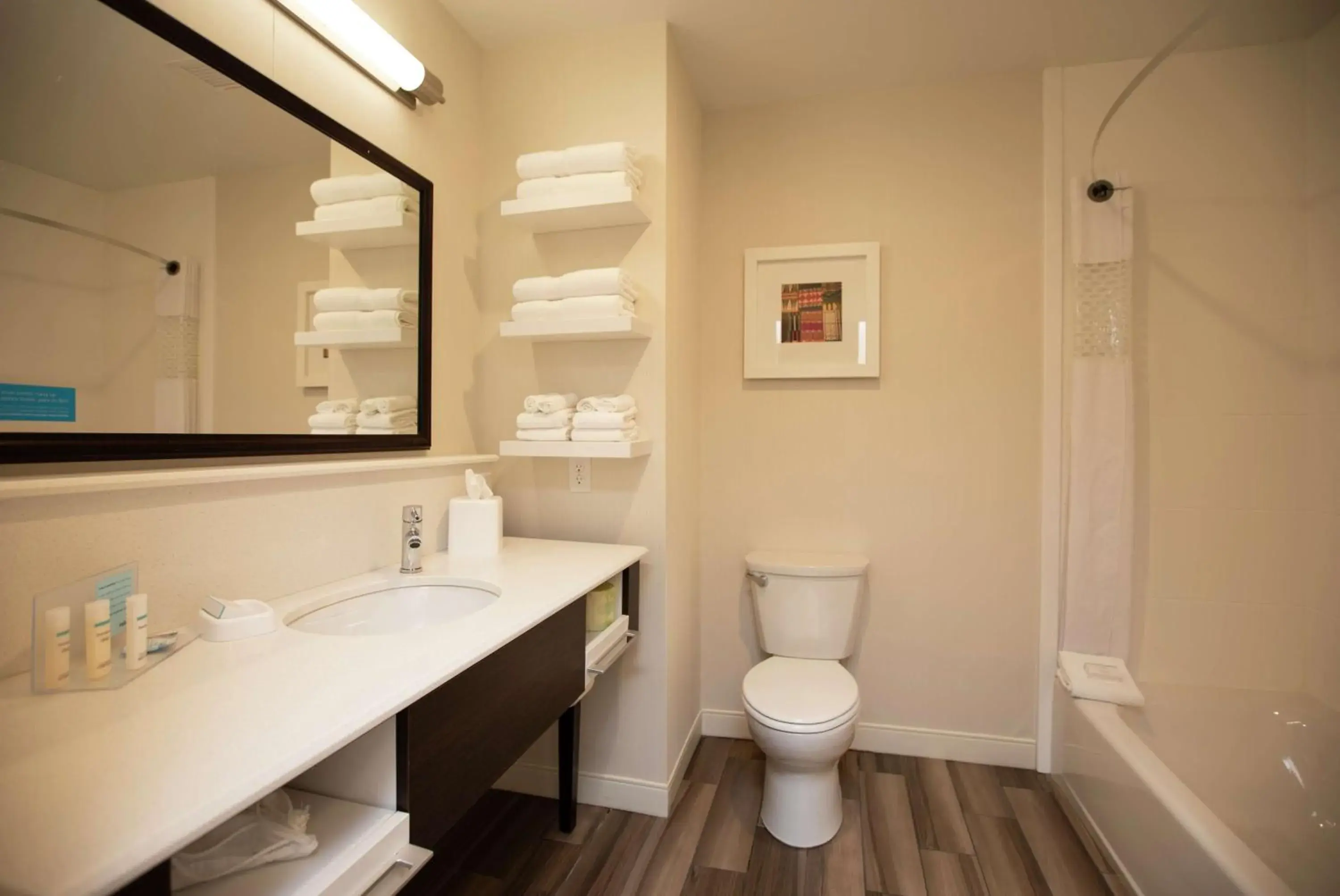 Bathroom in Hampton Inn Mesa Verde/Cortez Co Bathroom in Hampton Inn Mesa Verde/Cortez Co