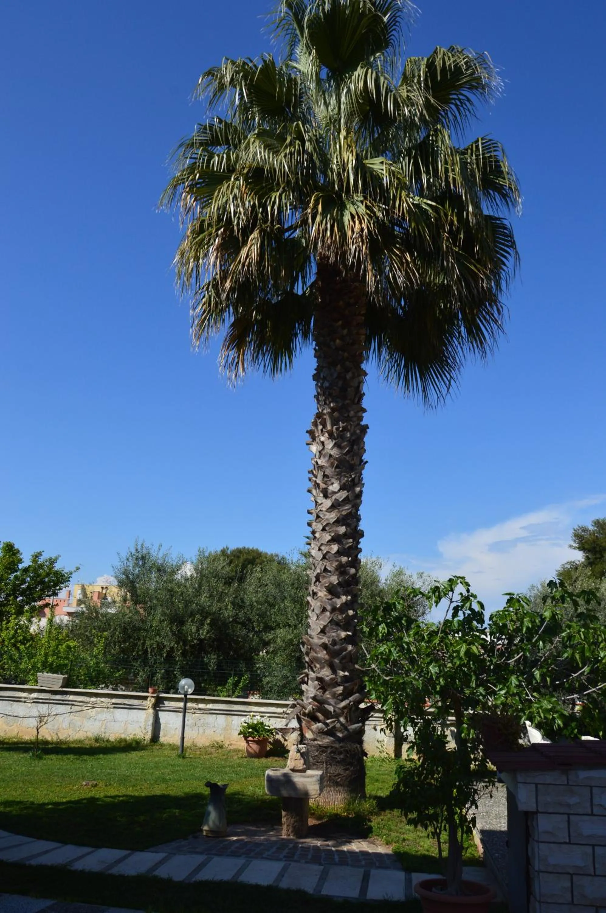 Biblos e Mare