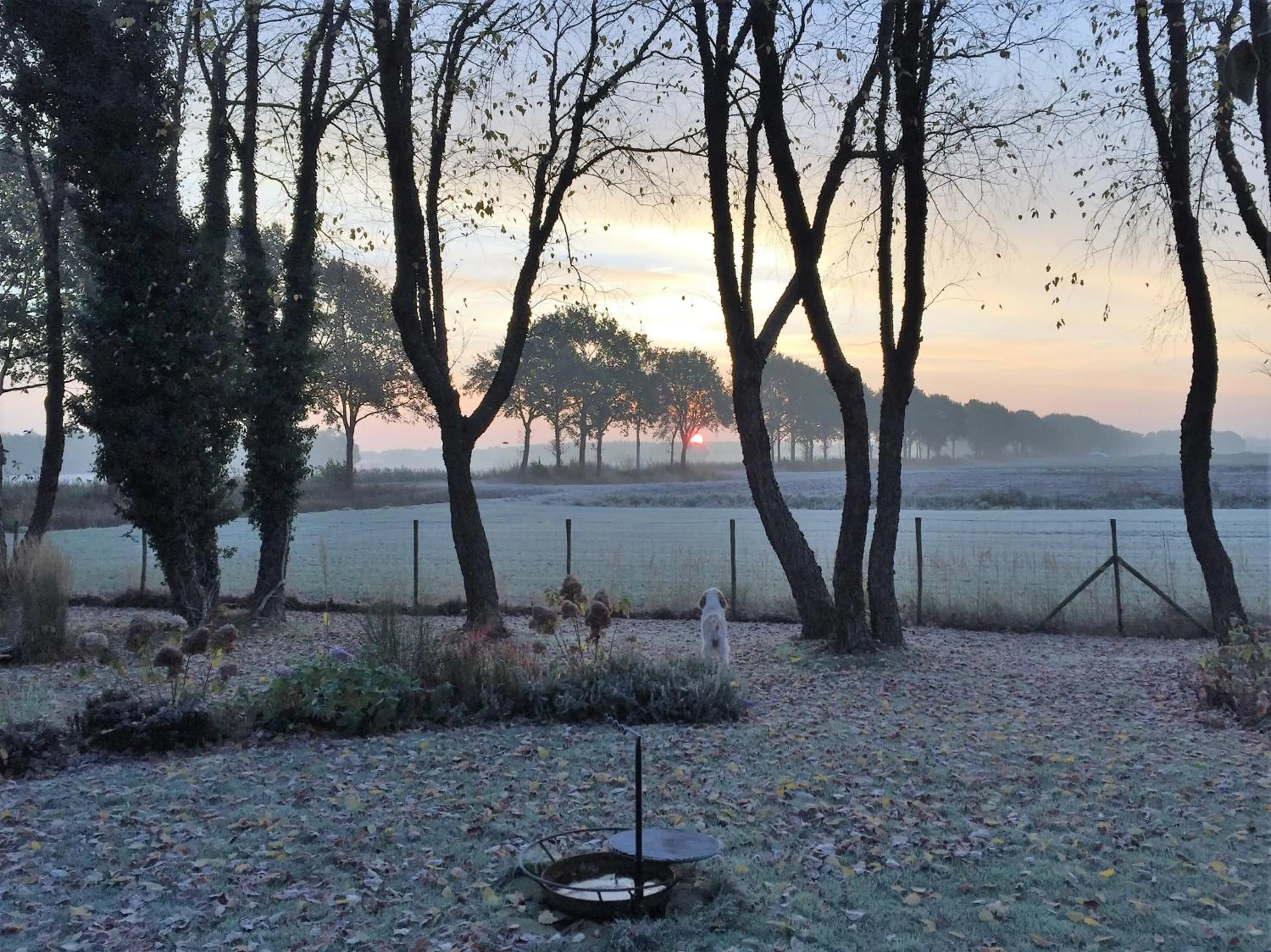 Winter in De Porrepoele