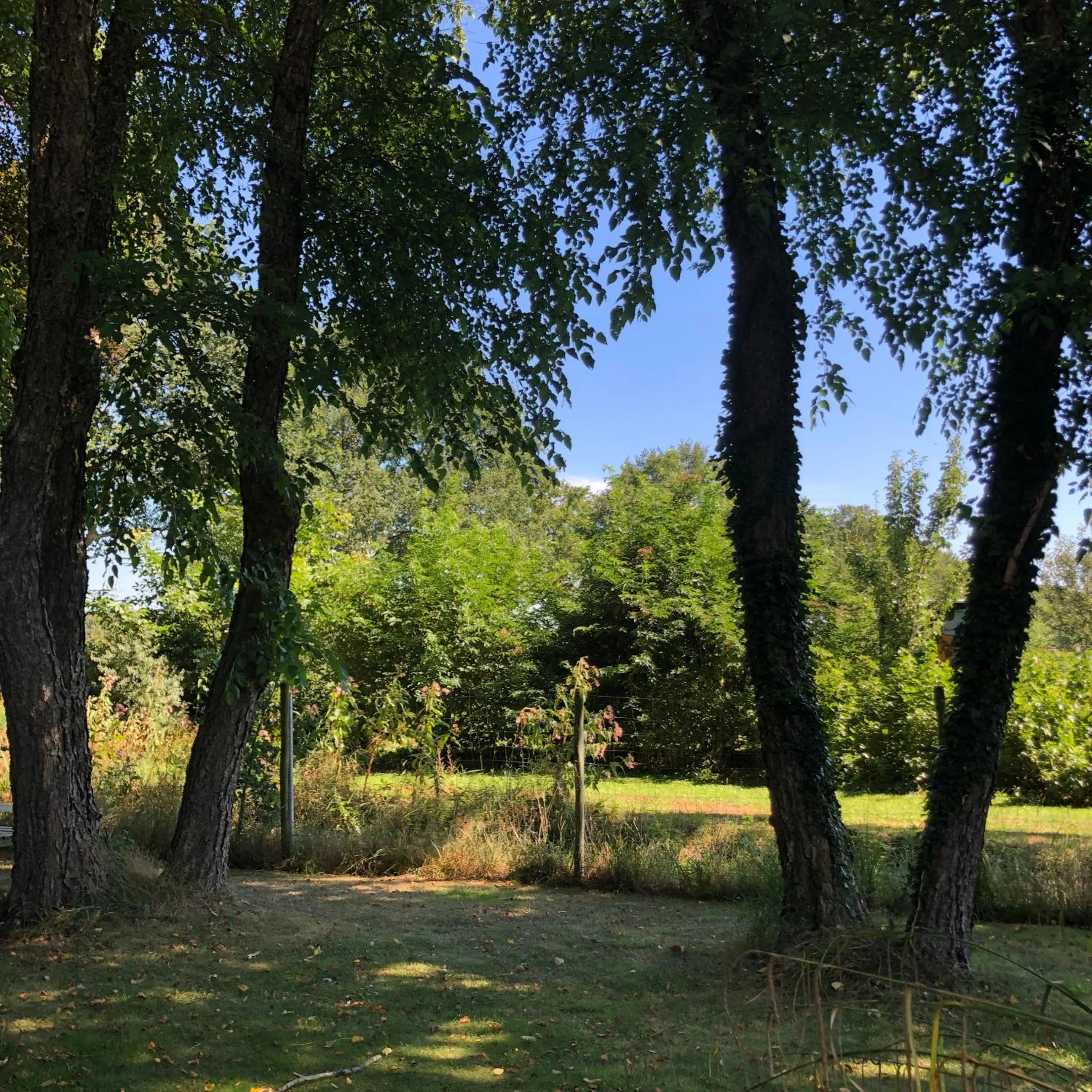 Garden in De Porrepoele