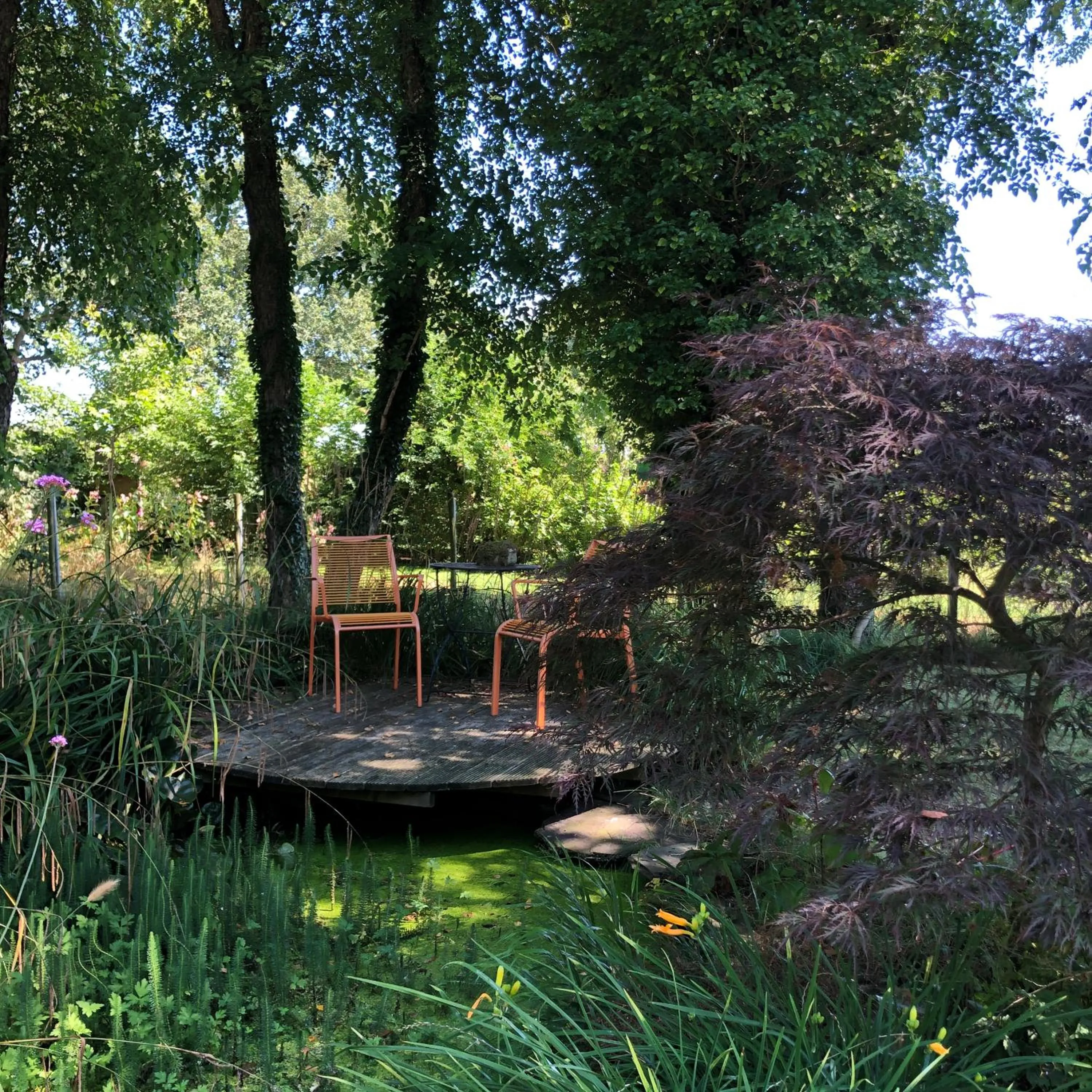 Garden in De Porrepoele