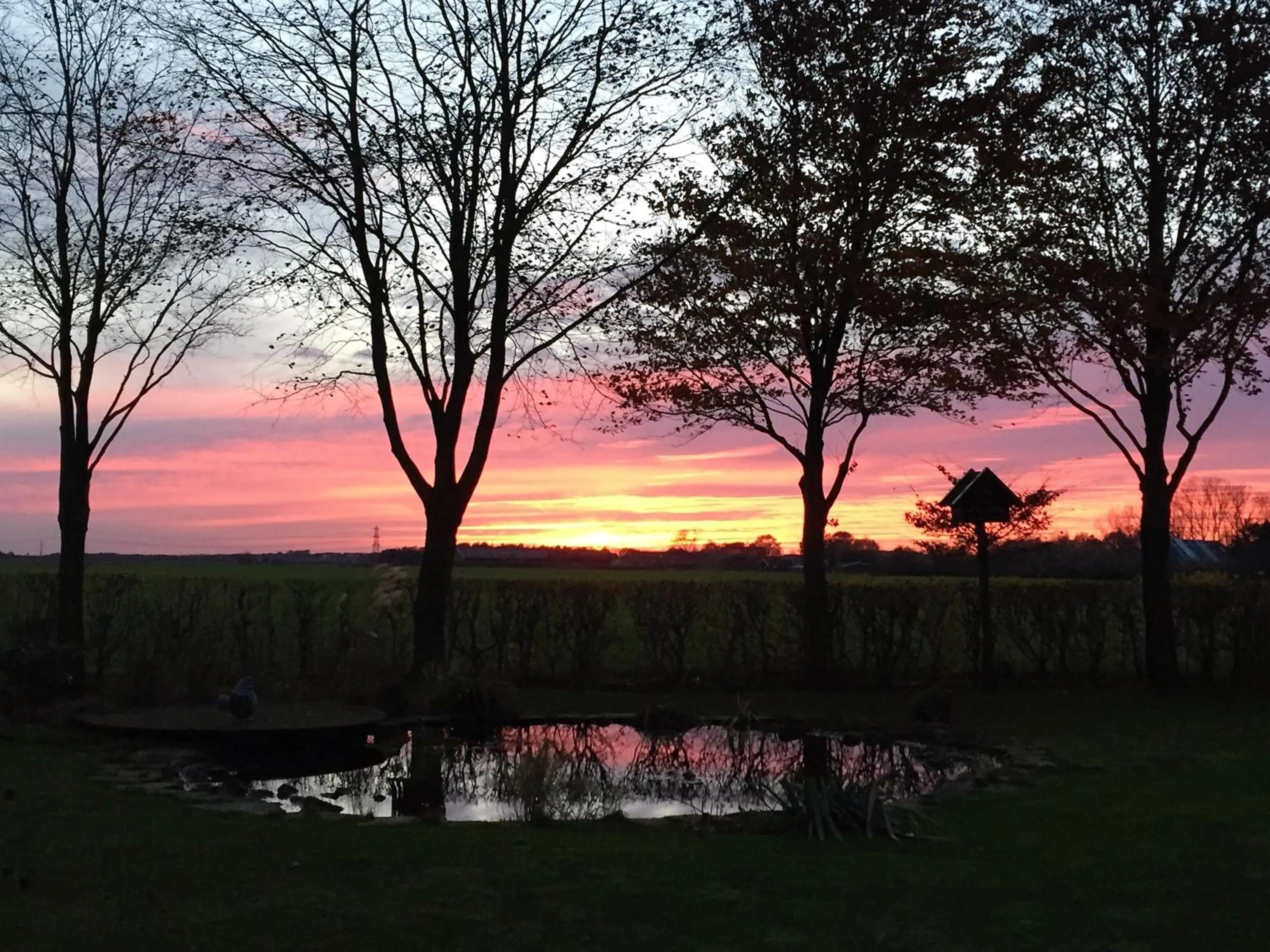 Winter in De Porrepoele