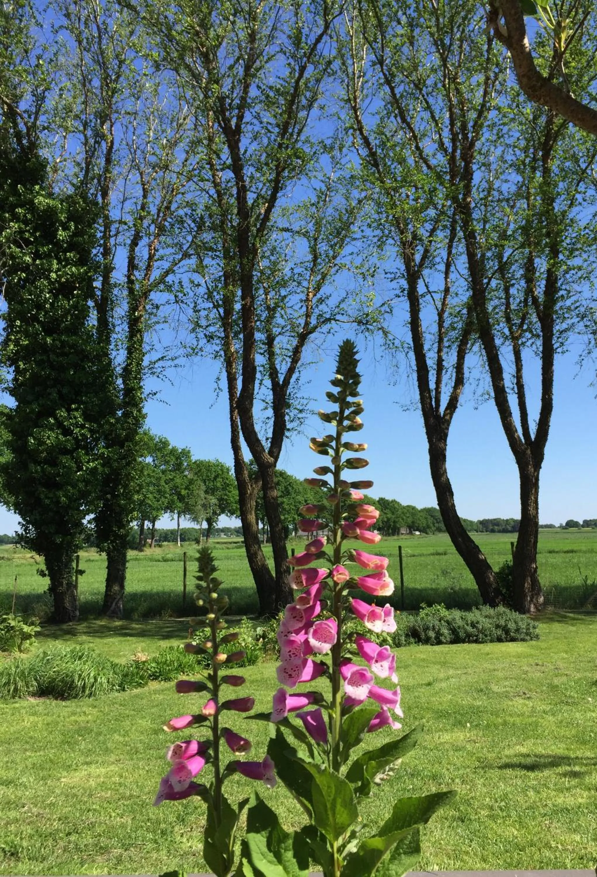 Spring in De Porrepoele