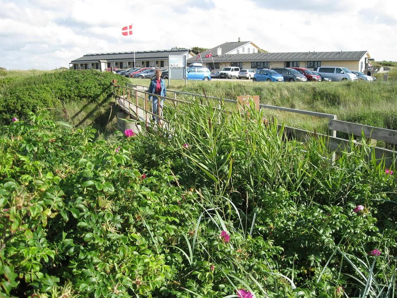 Natural landscape in Henne Mølle Å Badehotel