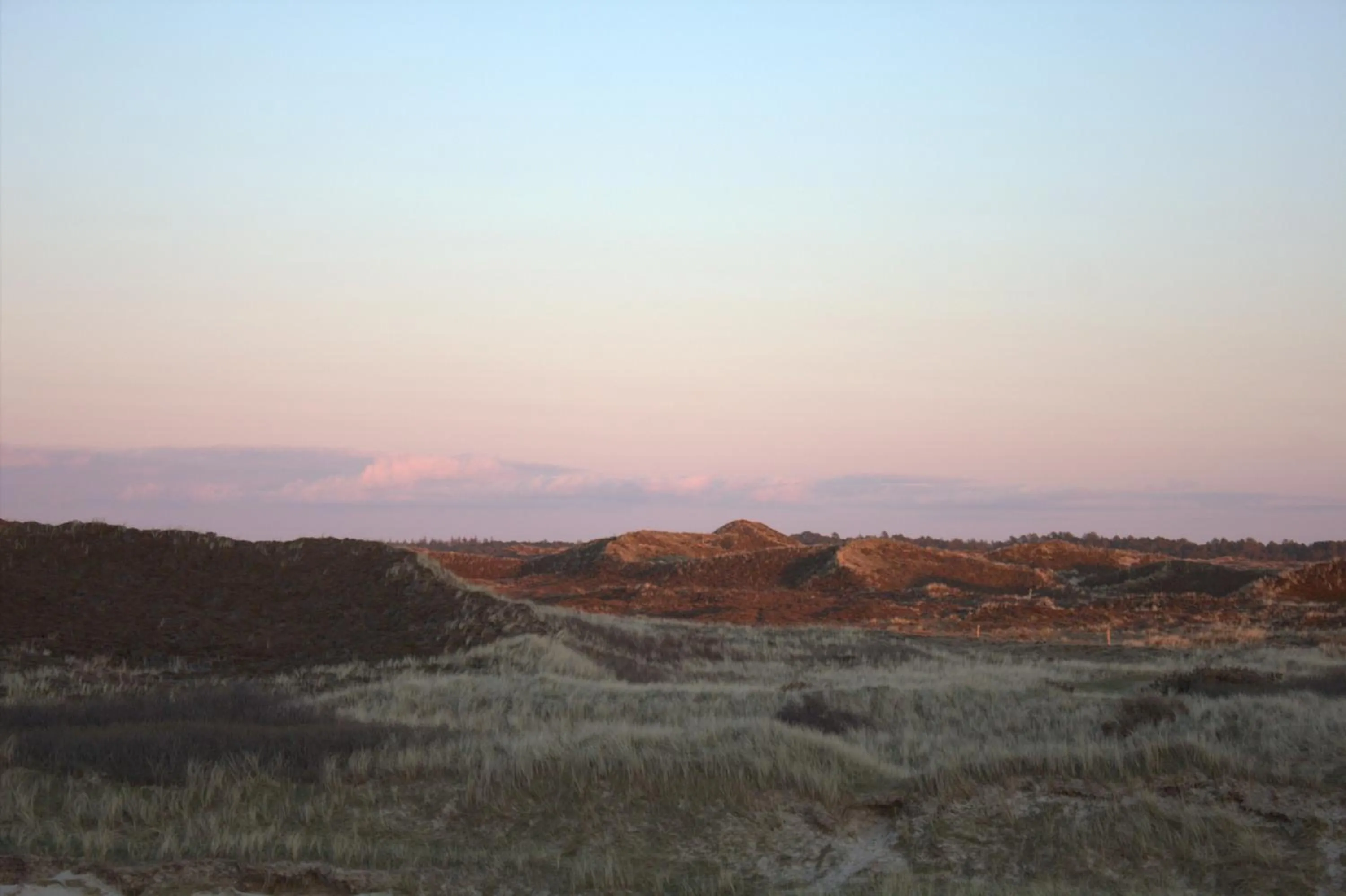 Neighbourhood in Henne Mølle Å Badehotel