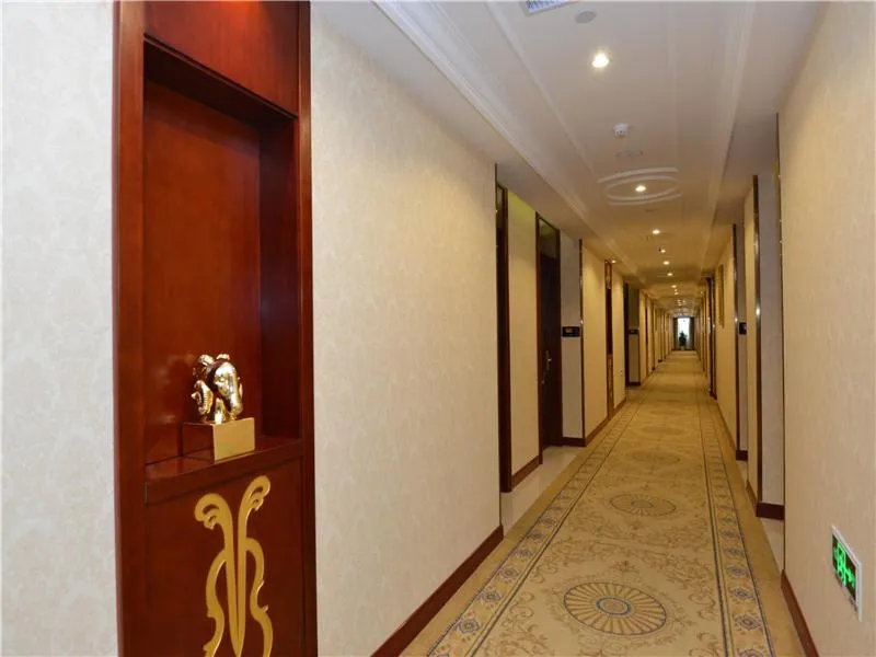 Vienna International Hotel Shanghai International Tourism and Resorts Zone