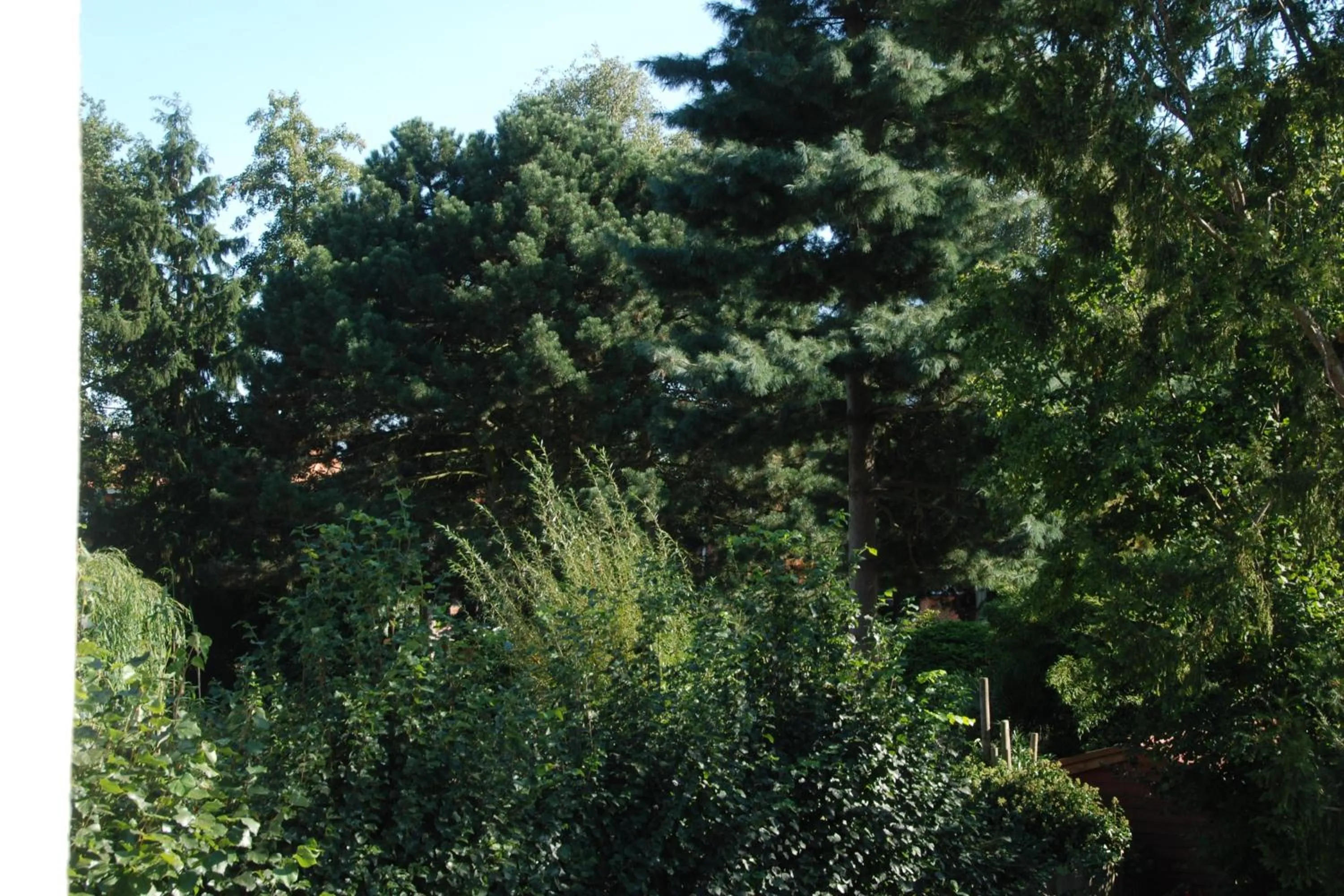 Garden view in B&B Garden55