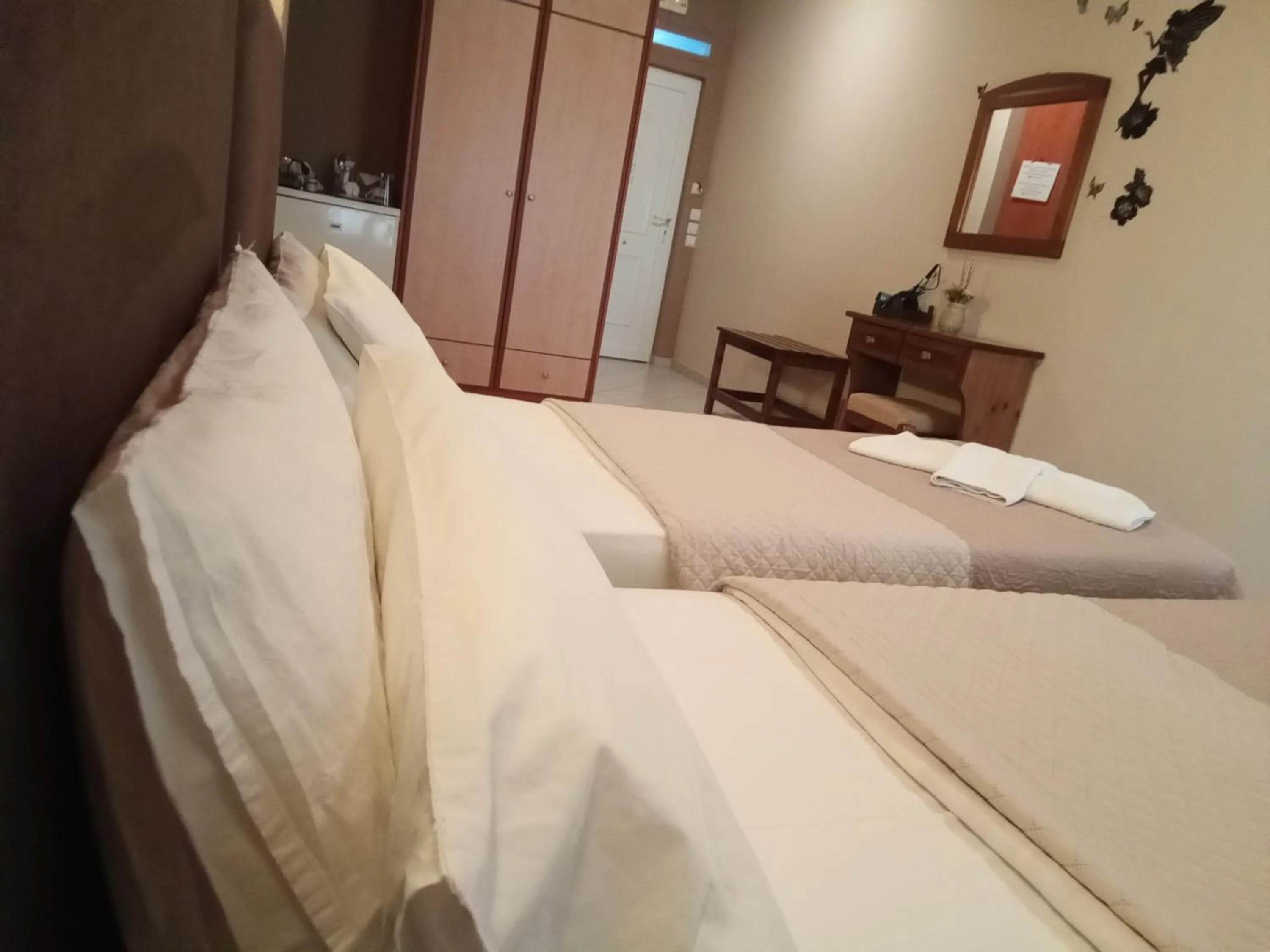 Photo of the whole room in Delfini