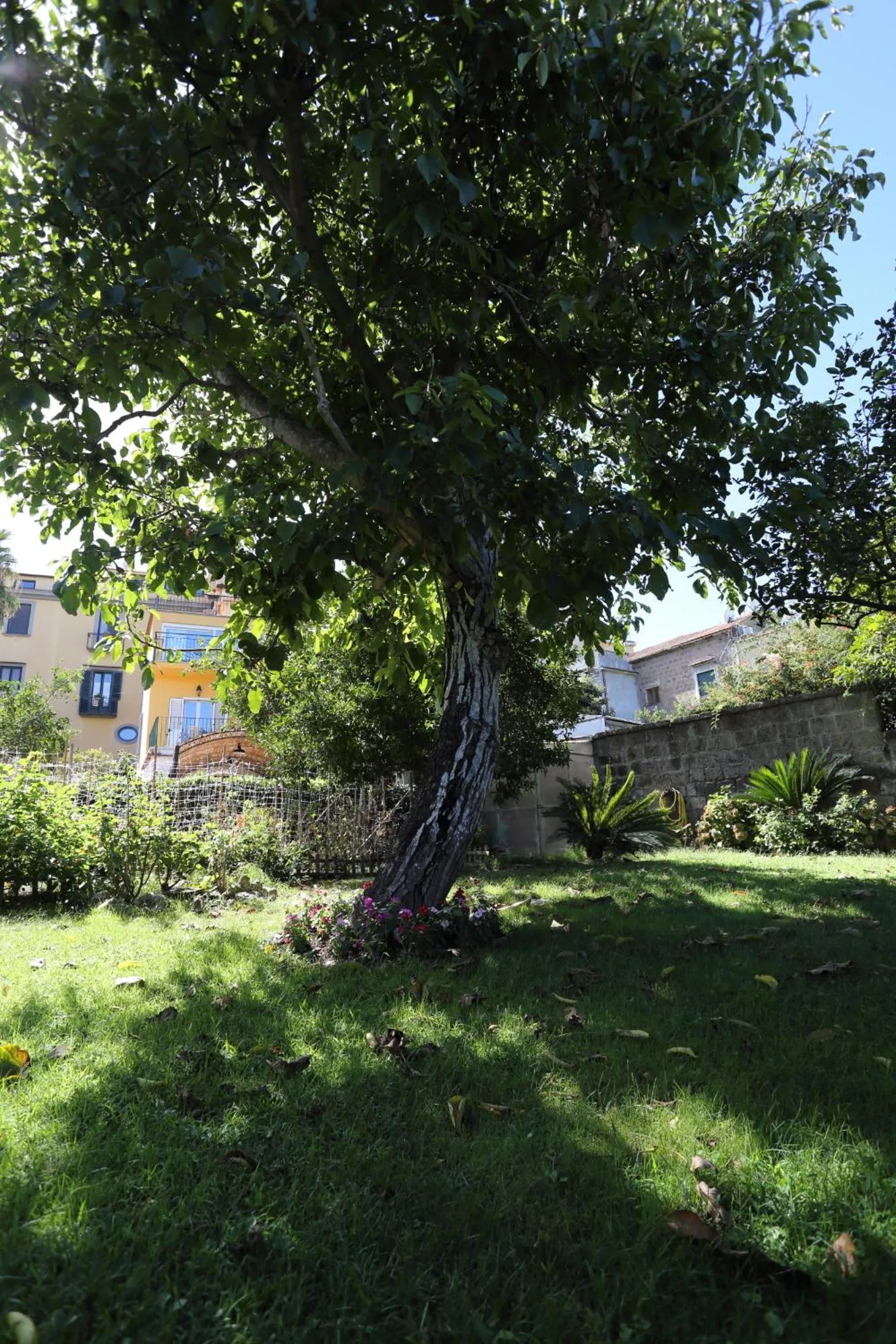 Property building in Ambrosio Relais