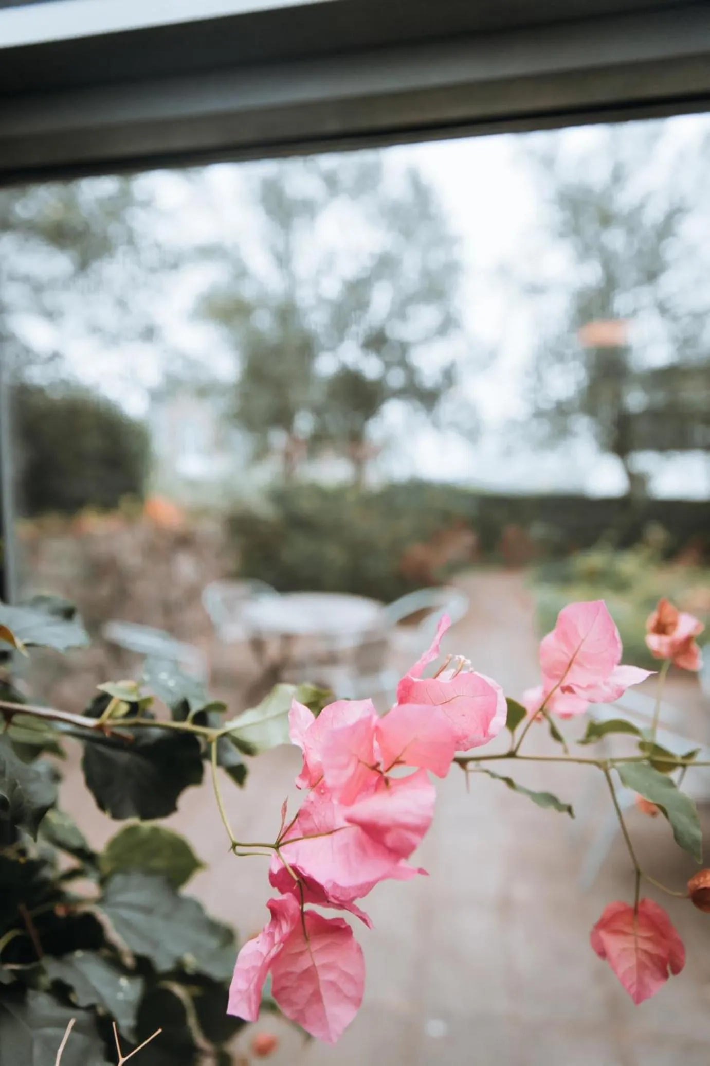 Restaurant/places to eat in Hótel Skálholt in Golden Circle