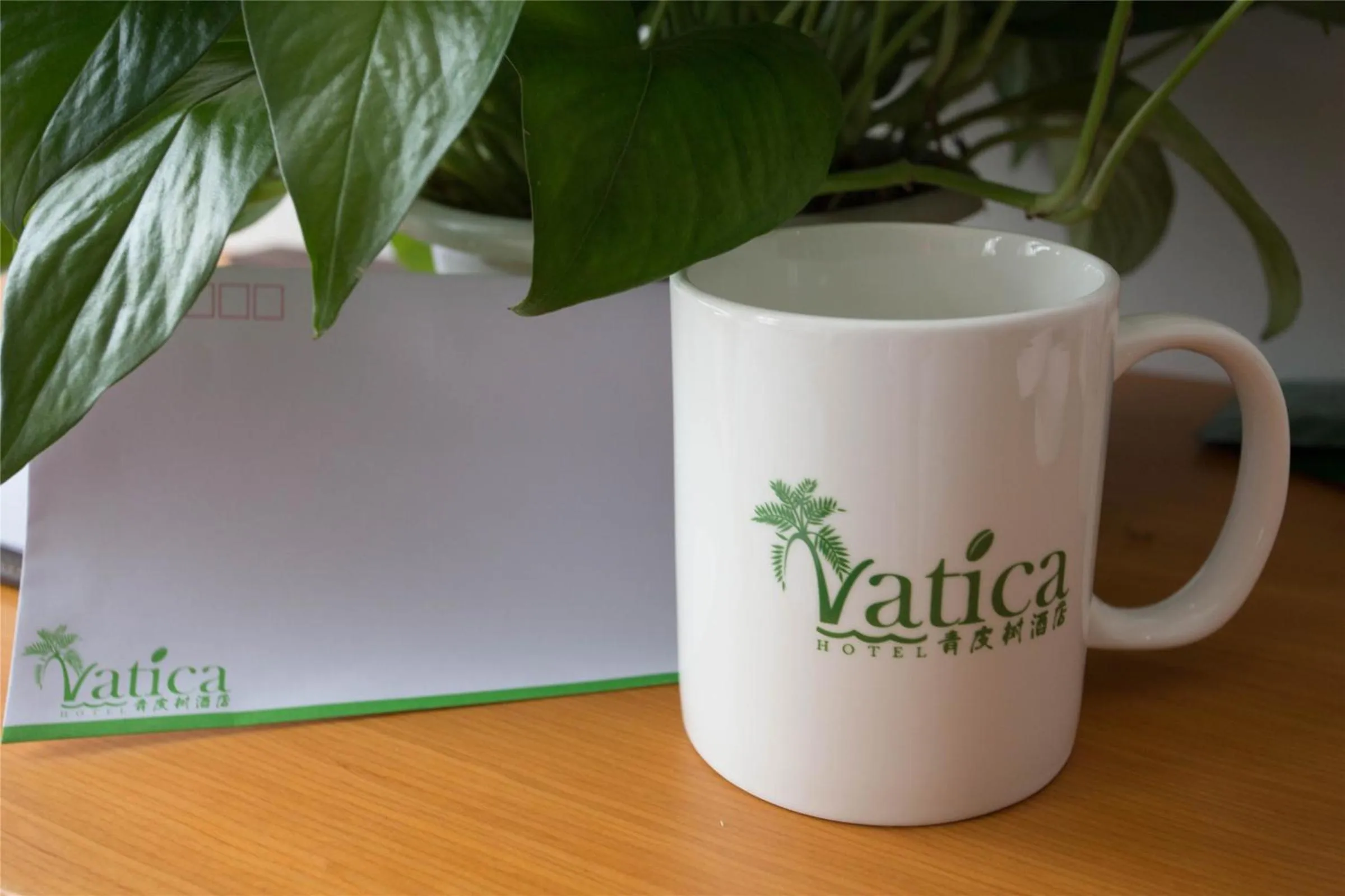 Vatica ShangHai International Tourism Resort Luoshan Road Subway Station Hotel