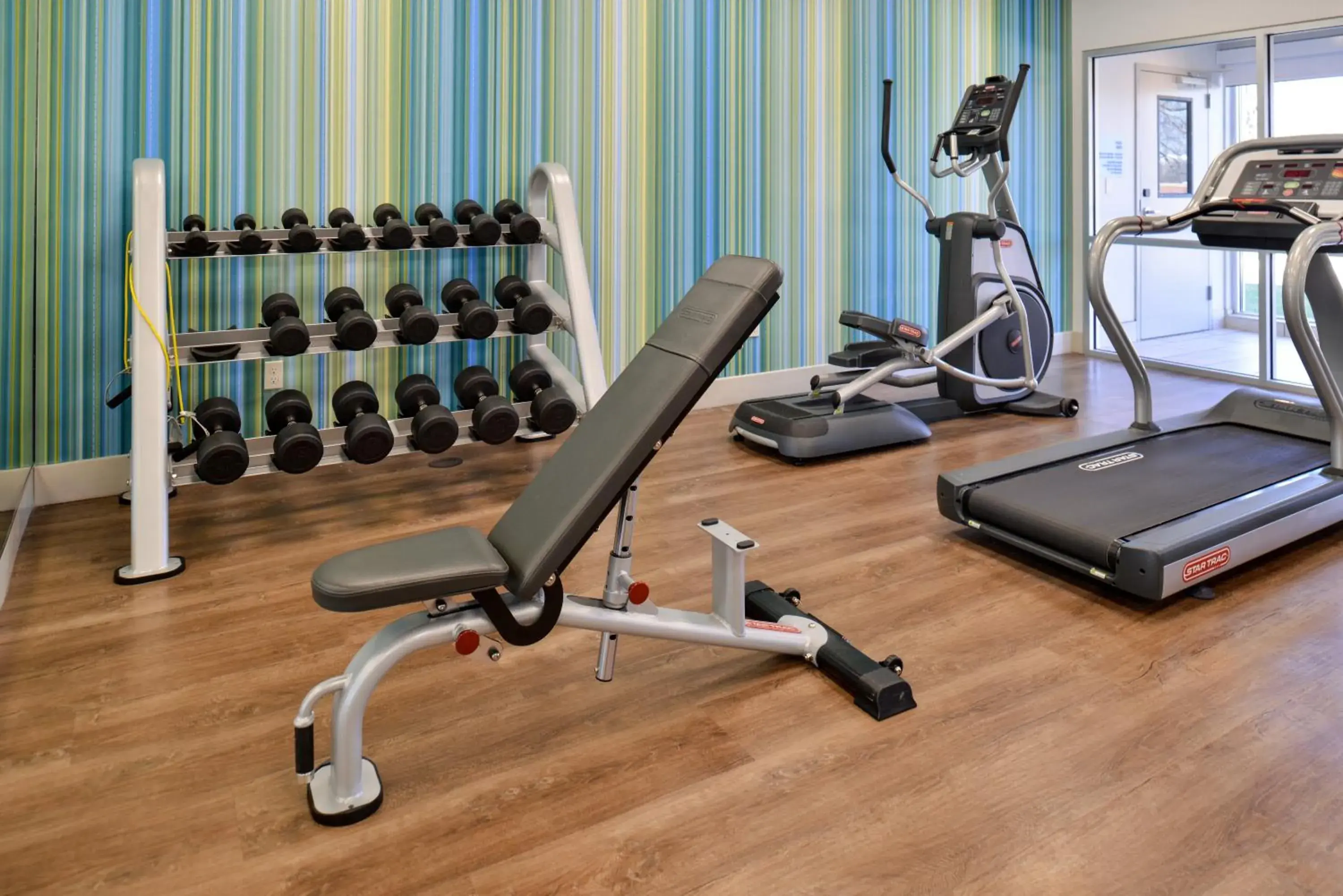 Spa and wellness centre/facilities, Fitness Center/Facilities in Holiday Inn Express & Suites Southgate - Detroit Area