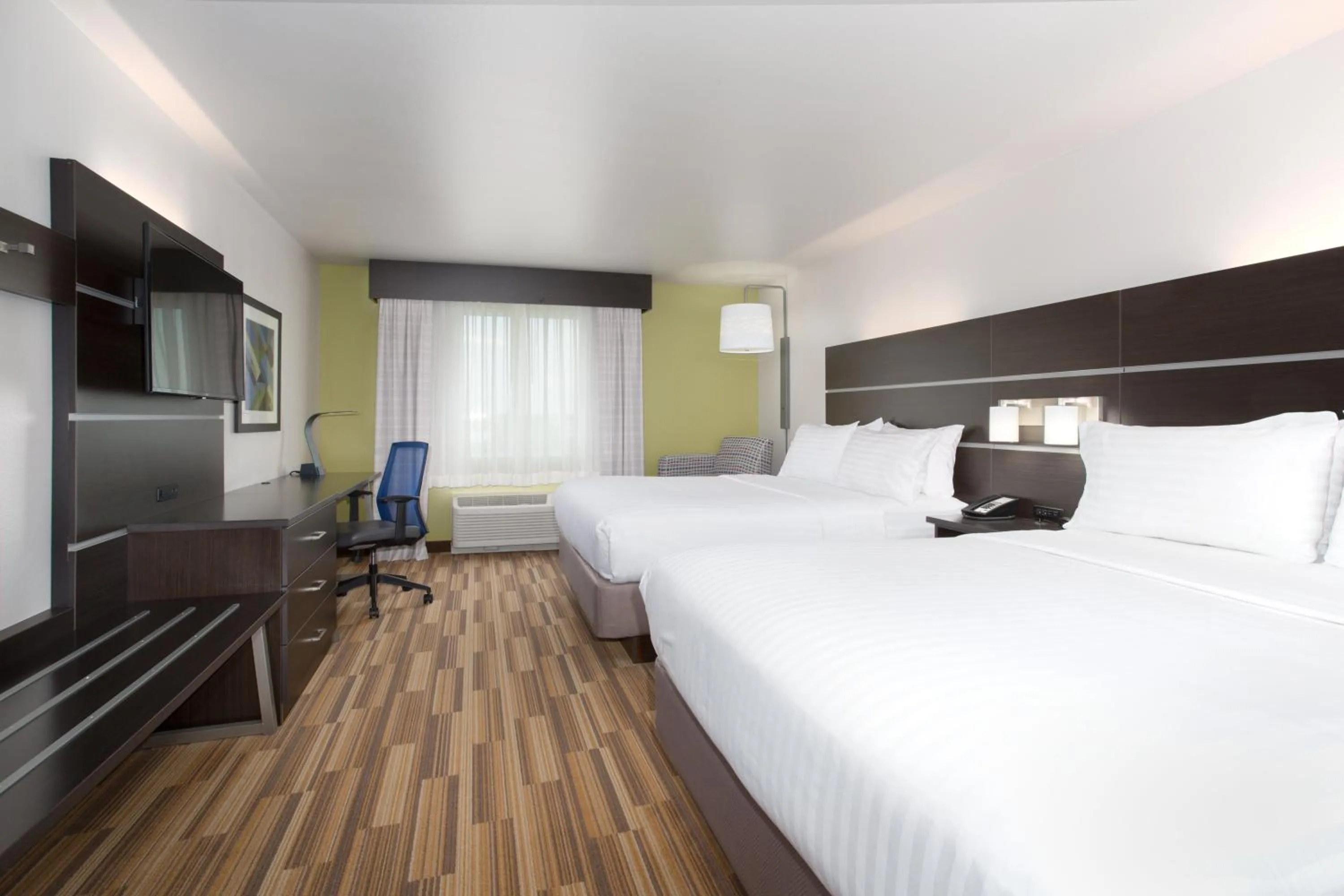 Photo of the whole room, Bed in Holiday Inn Express & Suites - Rapid City - Rushmore South by IHG