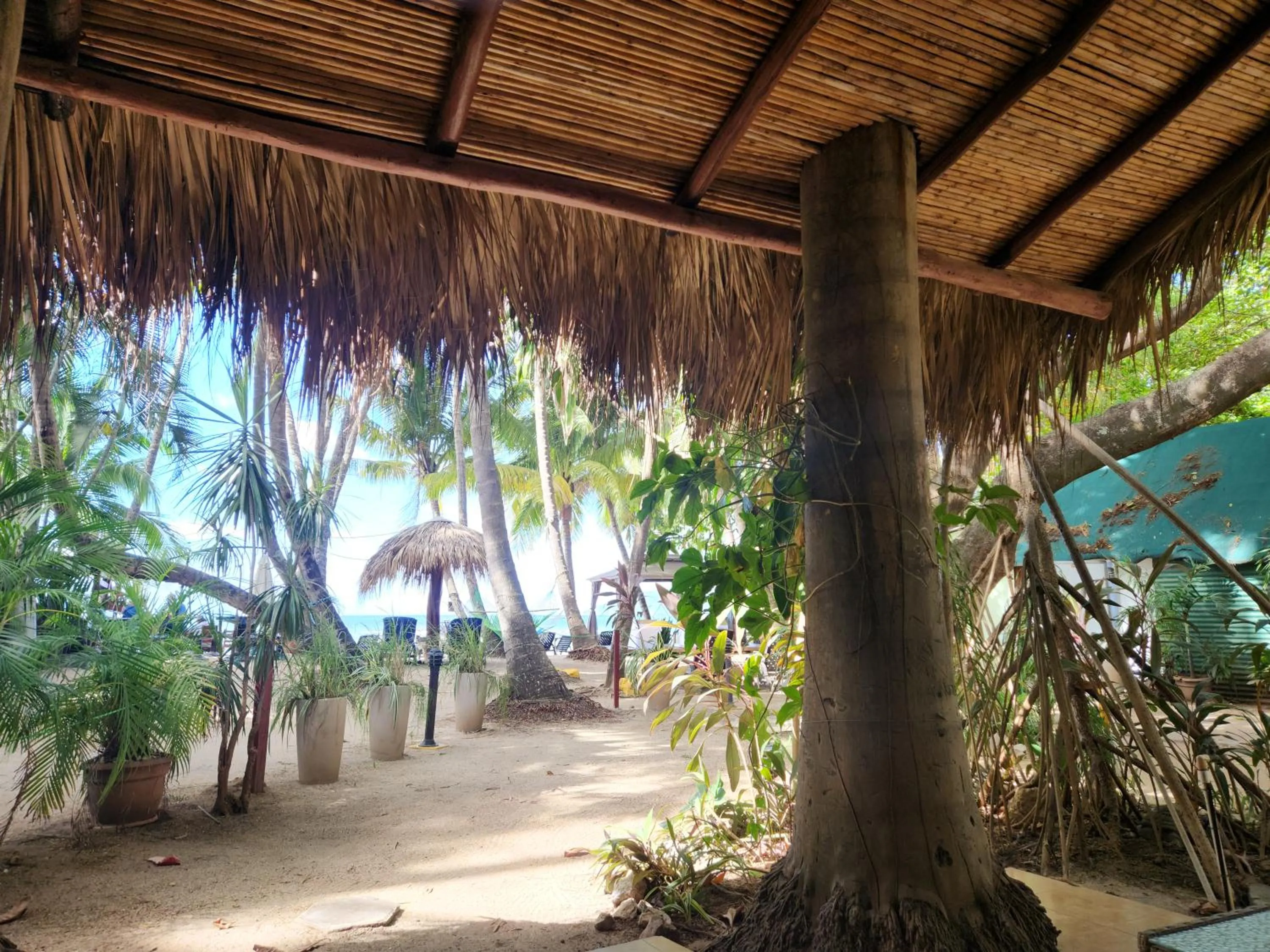 Day in Hotel La Palapa