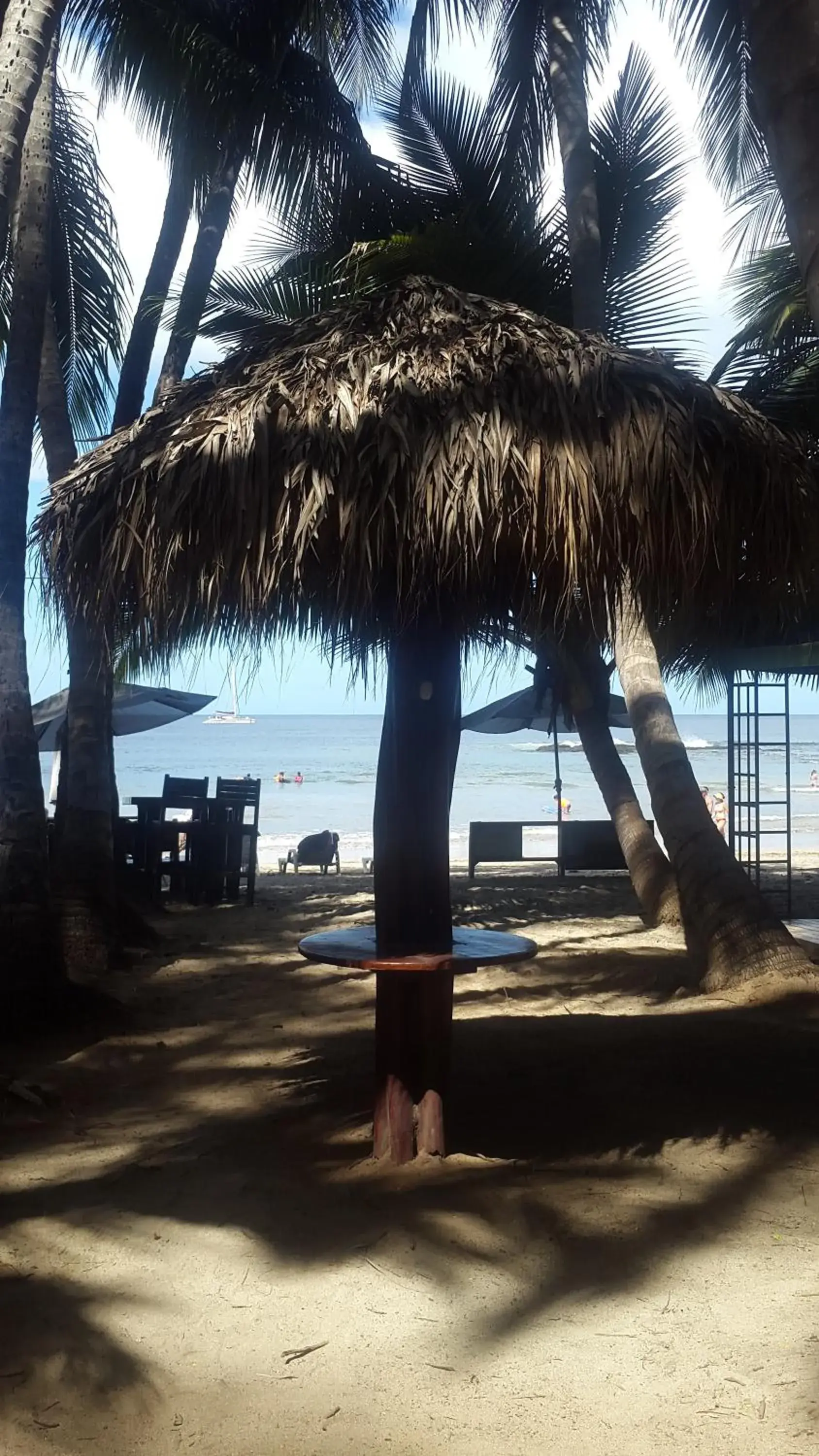 Sea view in Hotel La Palapa Sea view in Hotel La Palapa